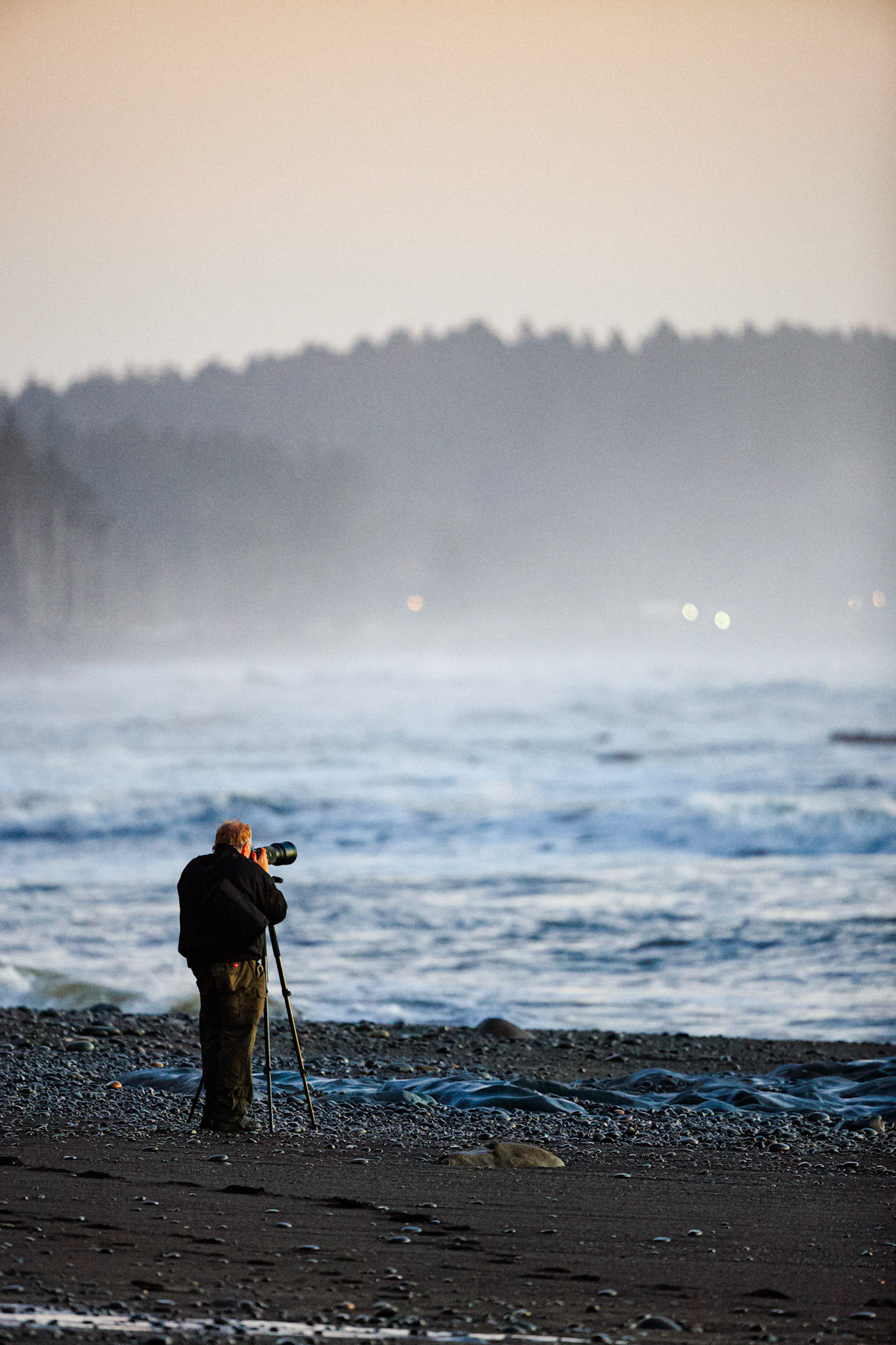 Taken in Olympic National Park, Washington USA