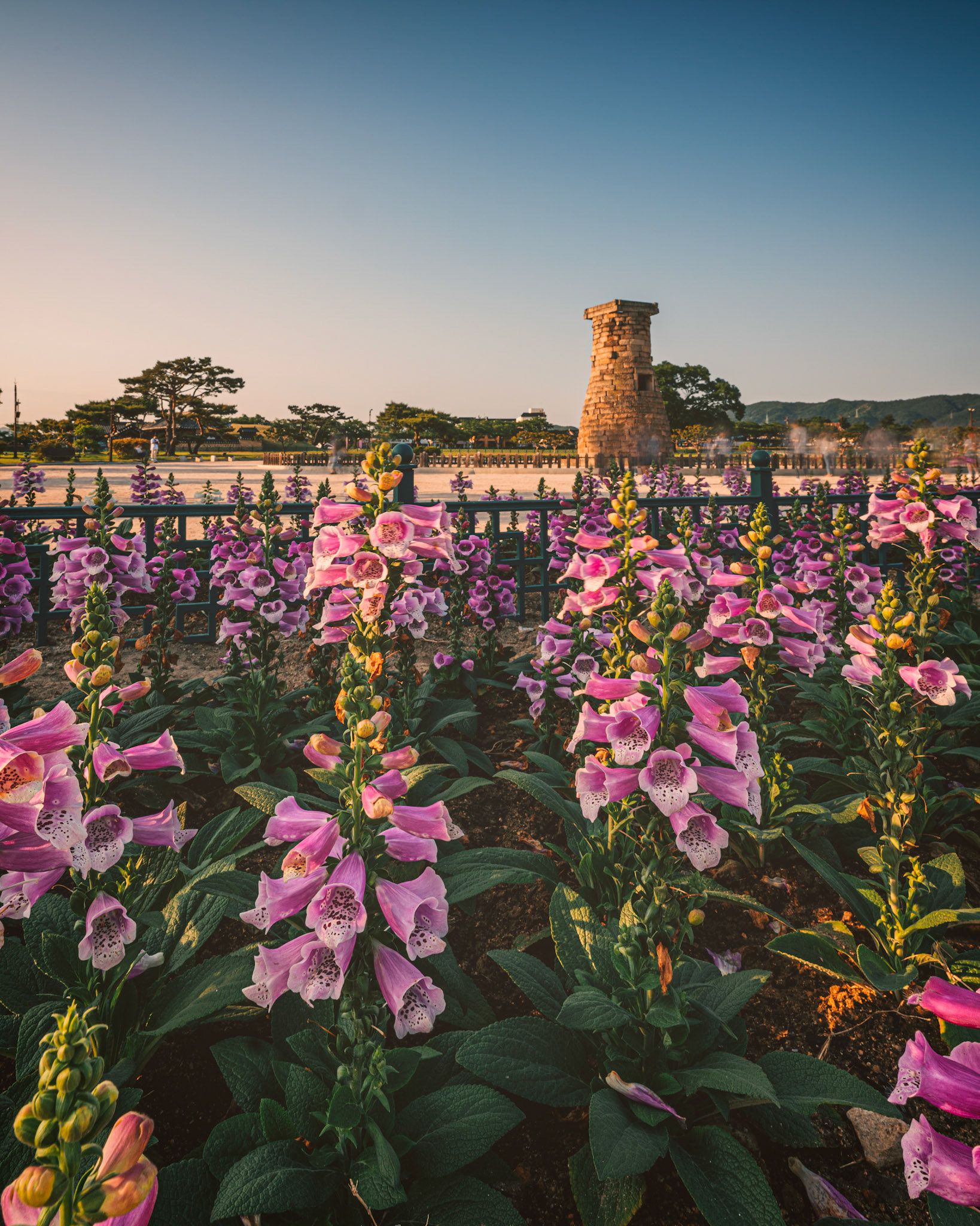 Gyeongju, South Korea - 22 May 2020: Many of the areas of Gyeongju are preserved without reconstruction, leaving natural walking trails around spaces where archeolgoical study is still ongoing in this location which was once a centerpiece of the Shilla dynasty.