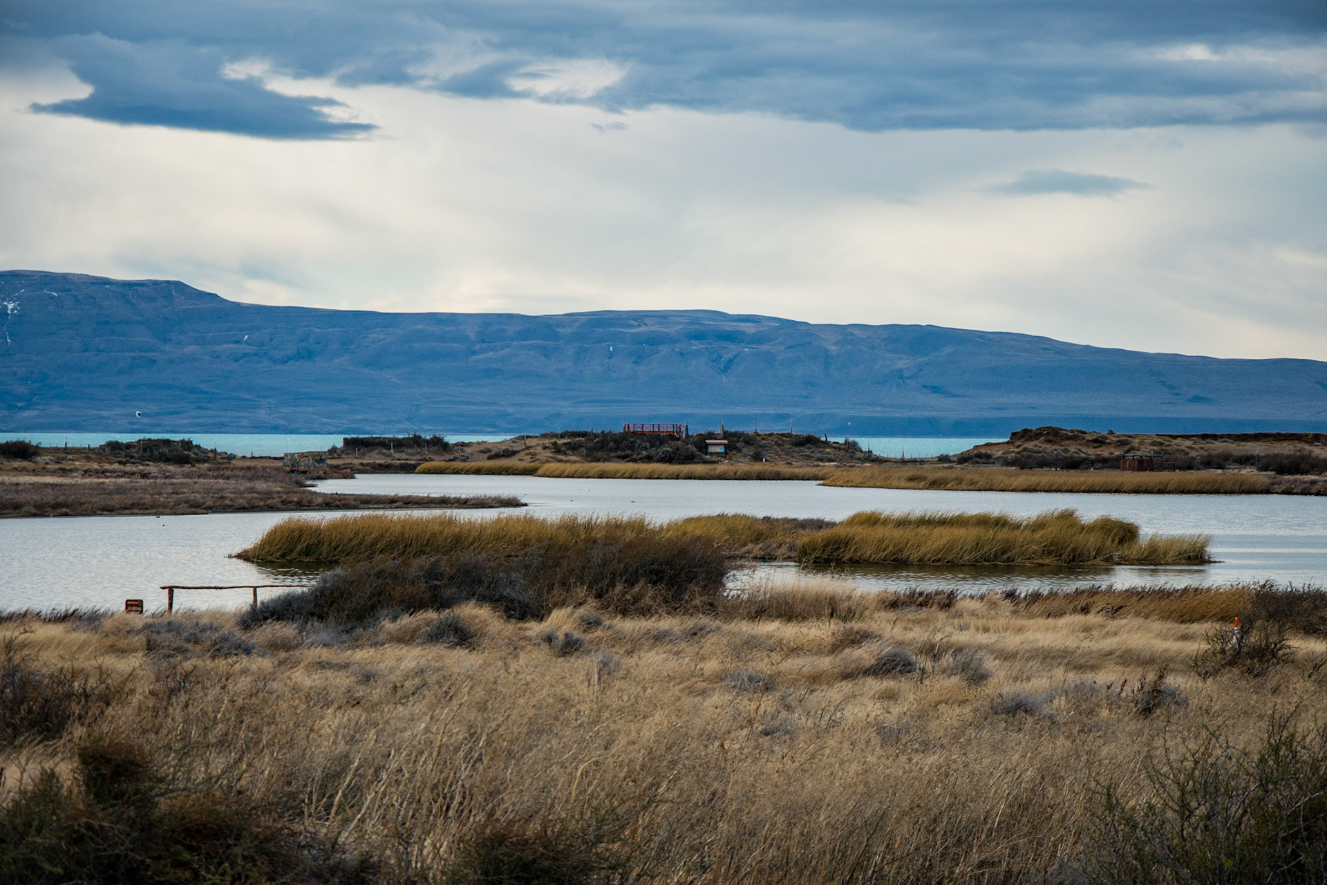 Lago Argentino - Reserva Laguna Nimez