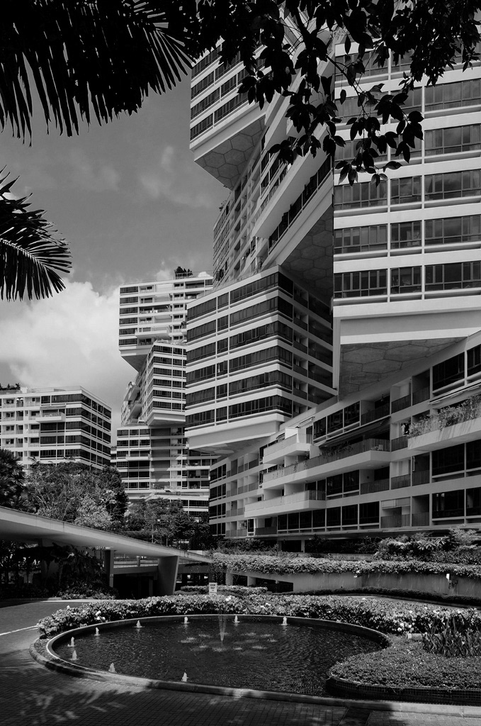 The Interlace