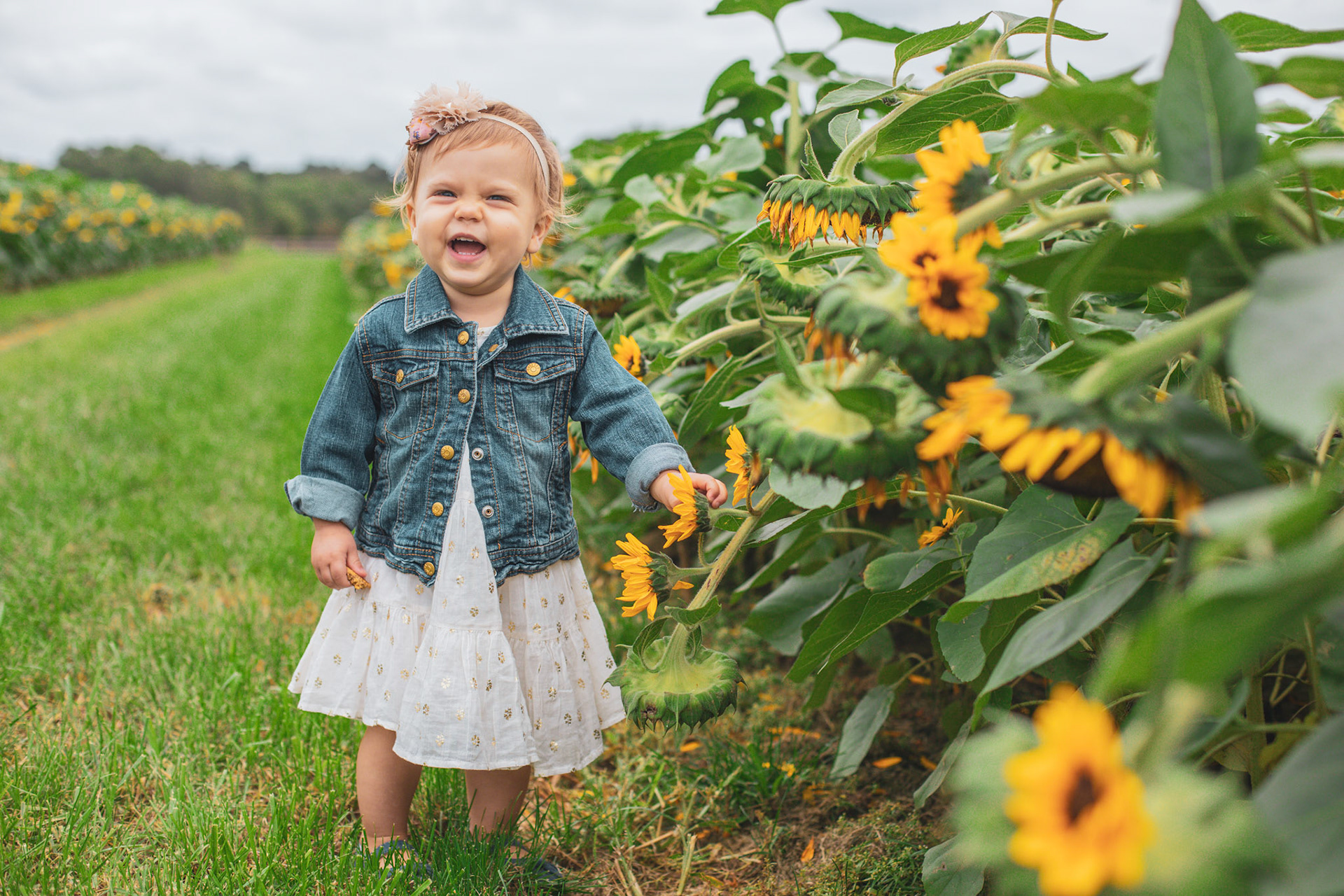 Sunflower Festival