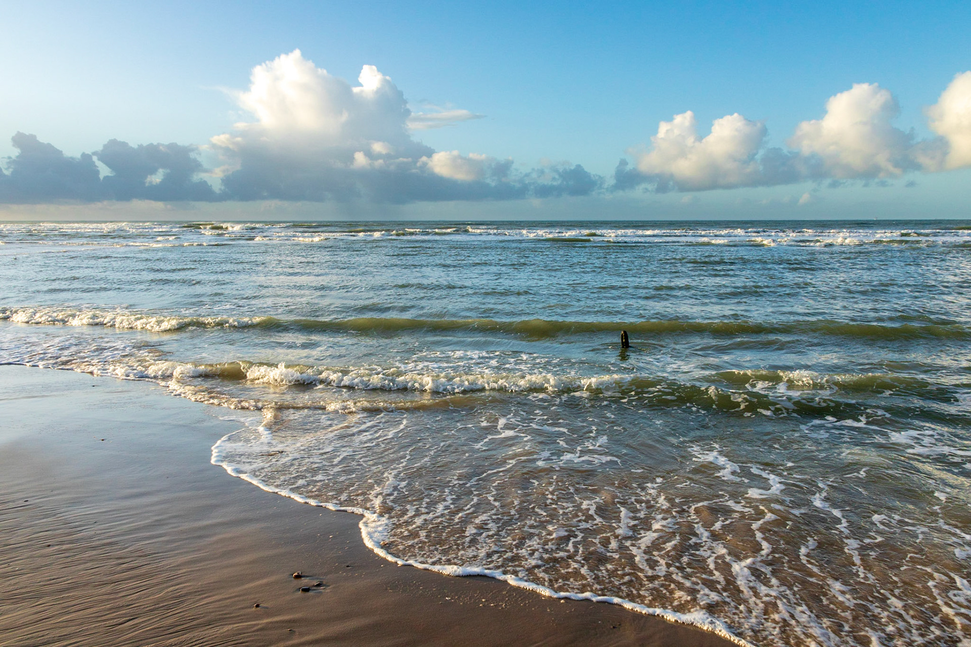 Ressac sur la plage d'Escalles