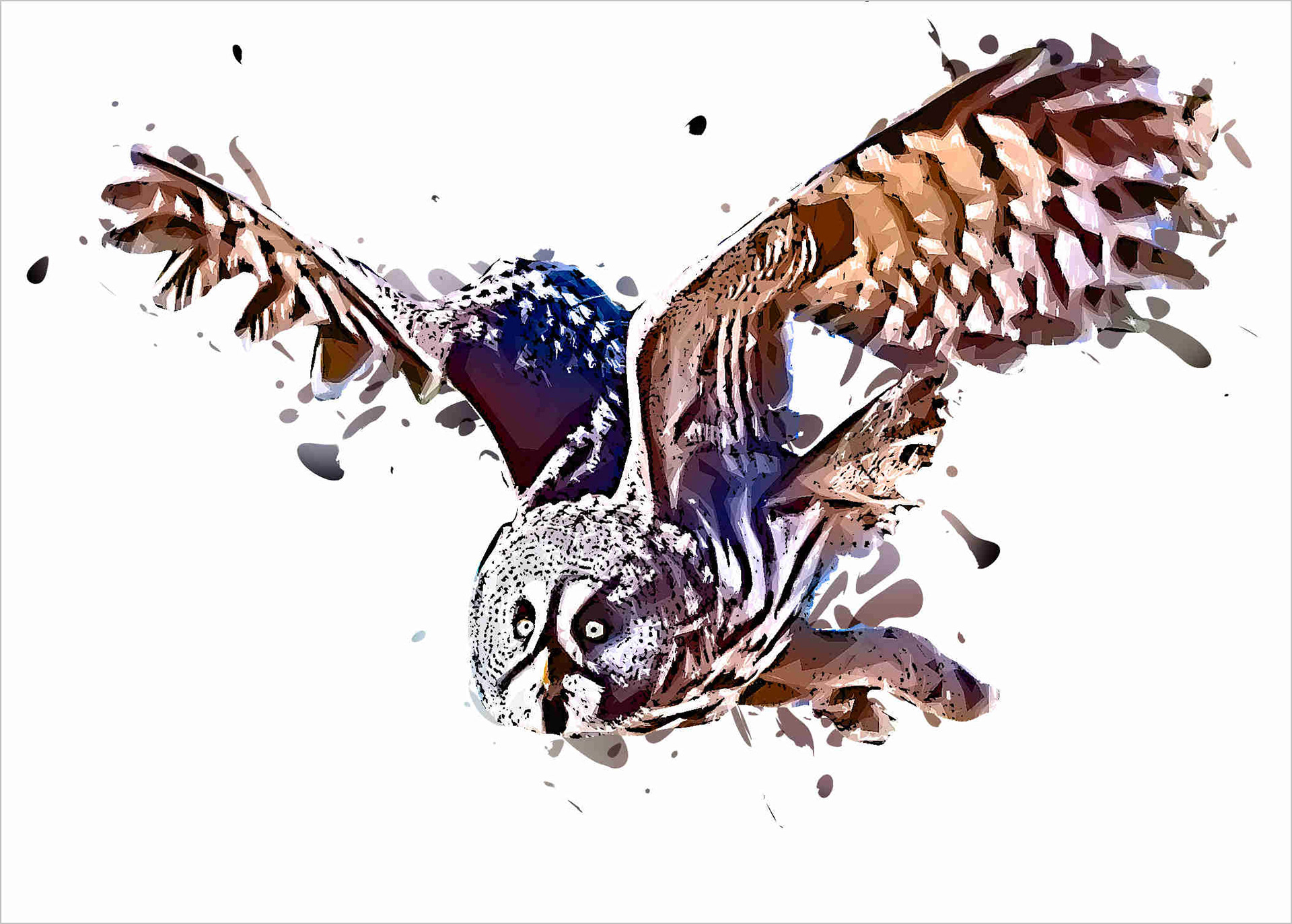 Great Grey Owl 804800420