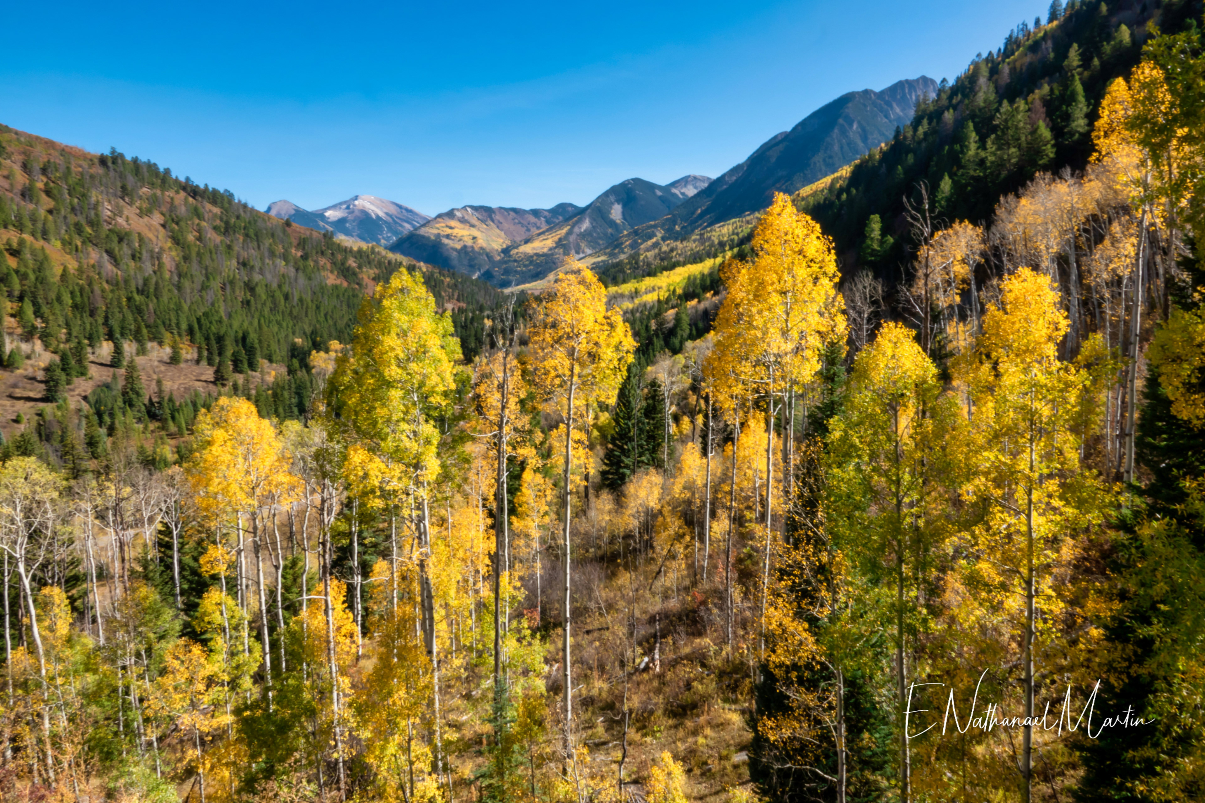 Nature by Nat Photography - Colorado Fall Colors