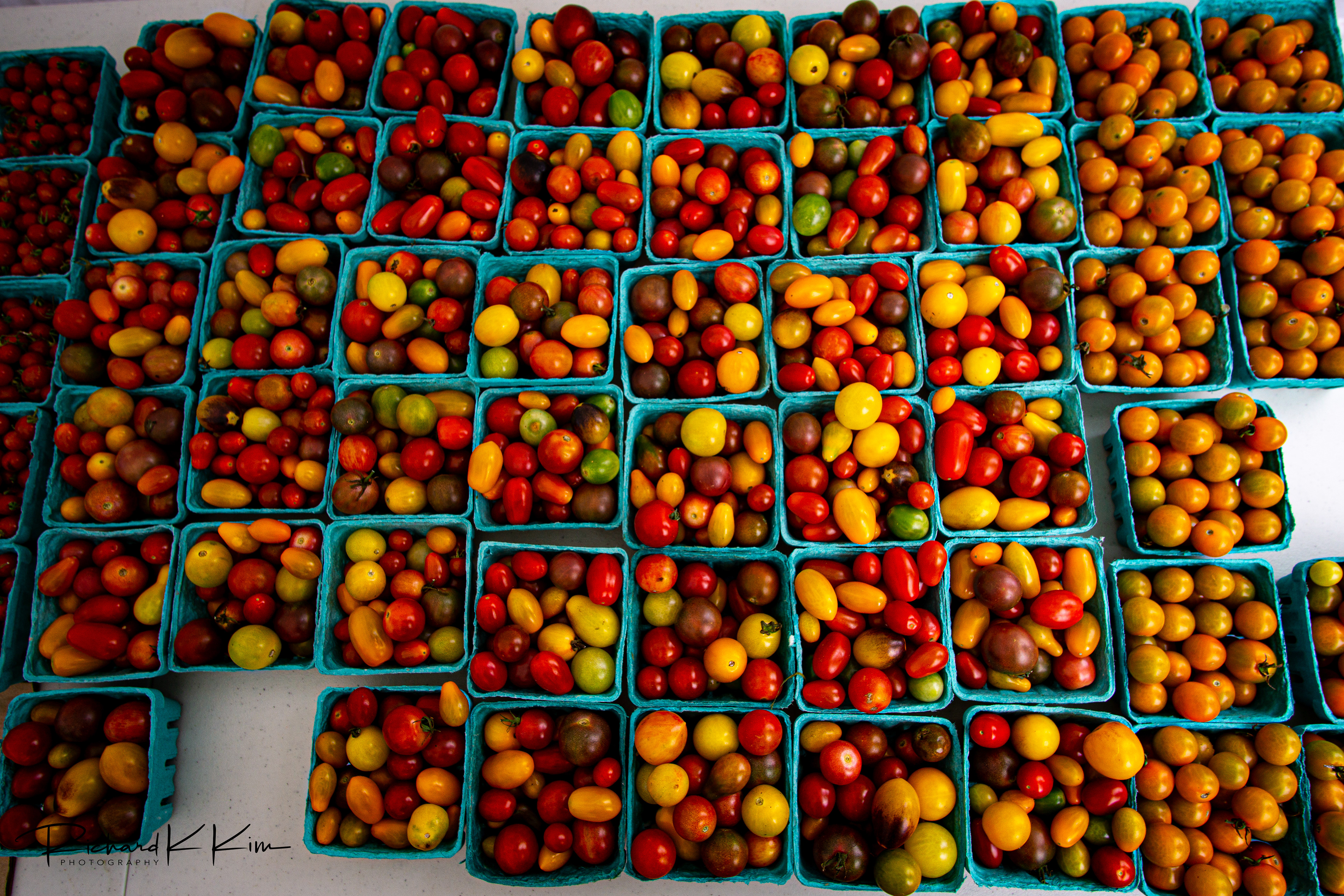 Union Square Farmer's Market (New York, NY)