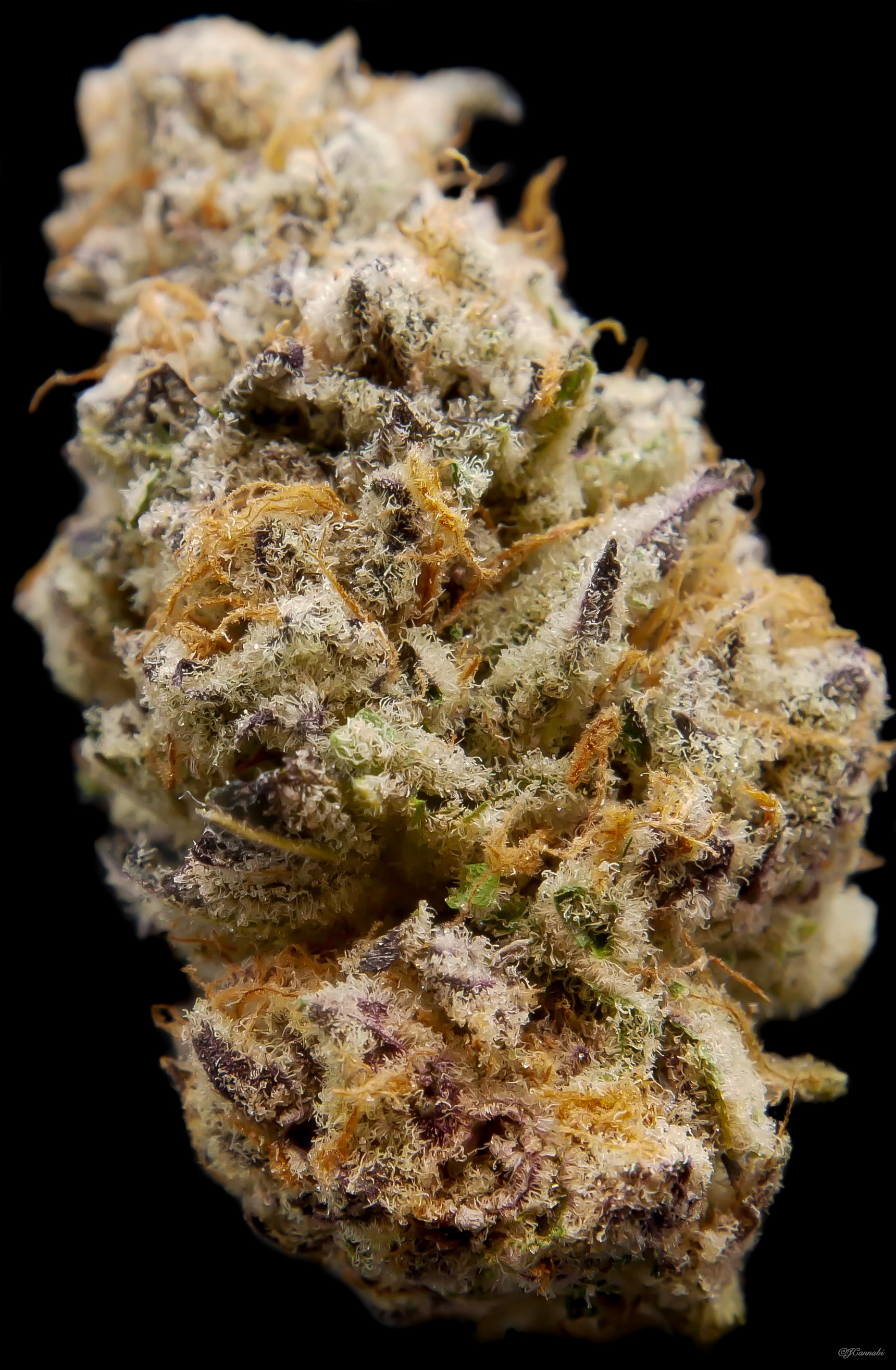 Purple Punch 2.0 (Dank by Pank)