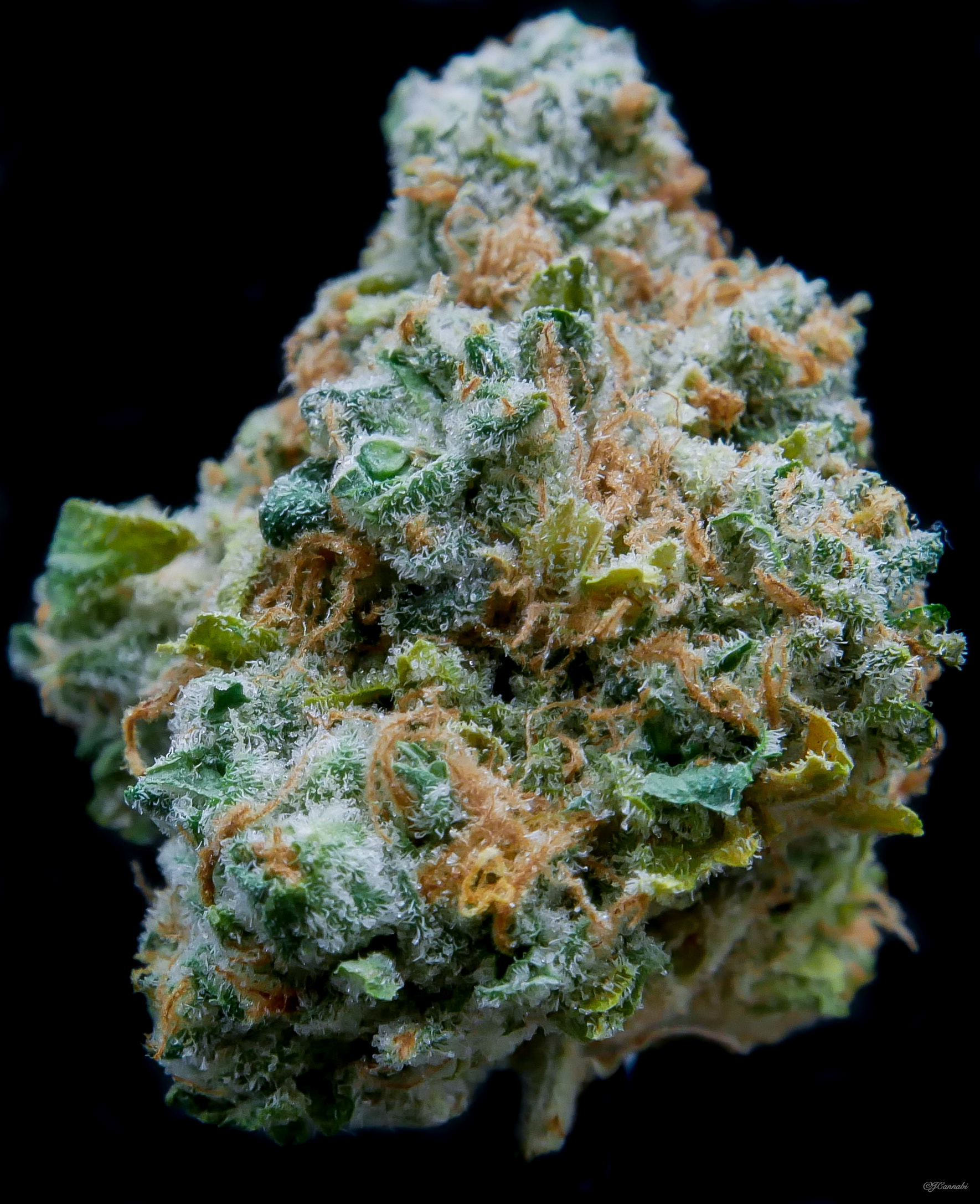 London Pound Cake (Monte Fiore)