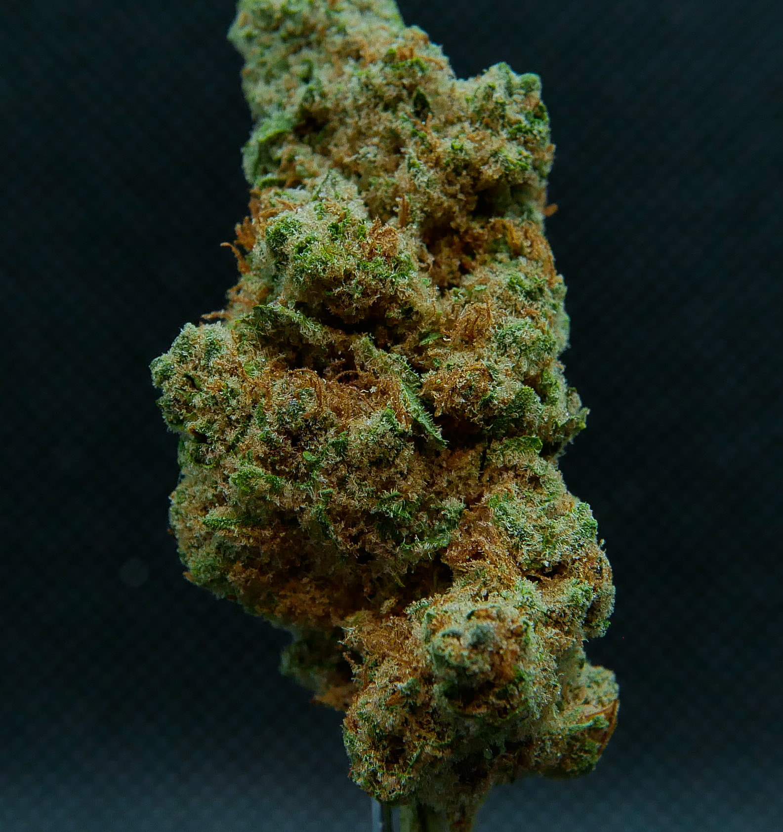 Purgatory - Hell's OG Cross (Hiatus)