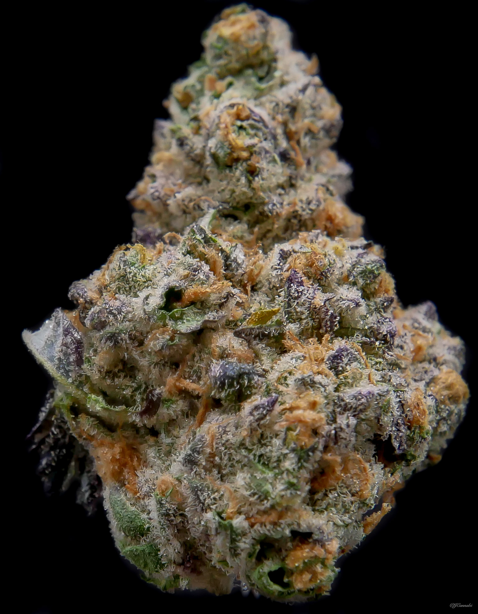 Gushers x Mai Thai (Monte Fiore)