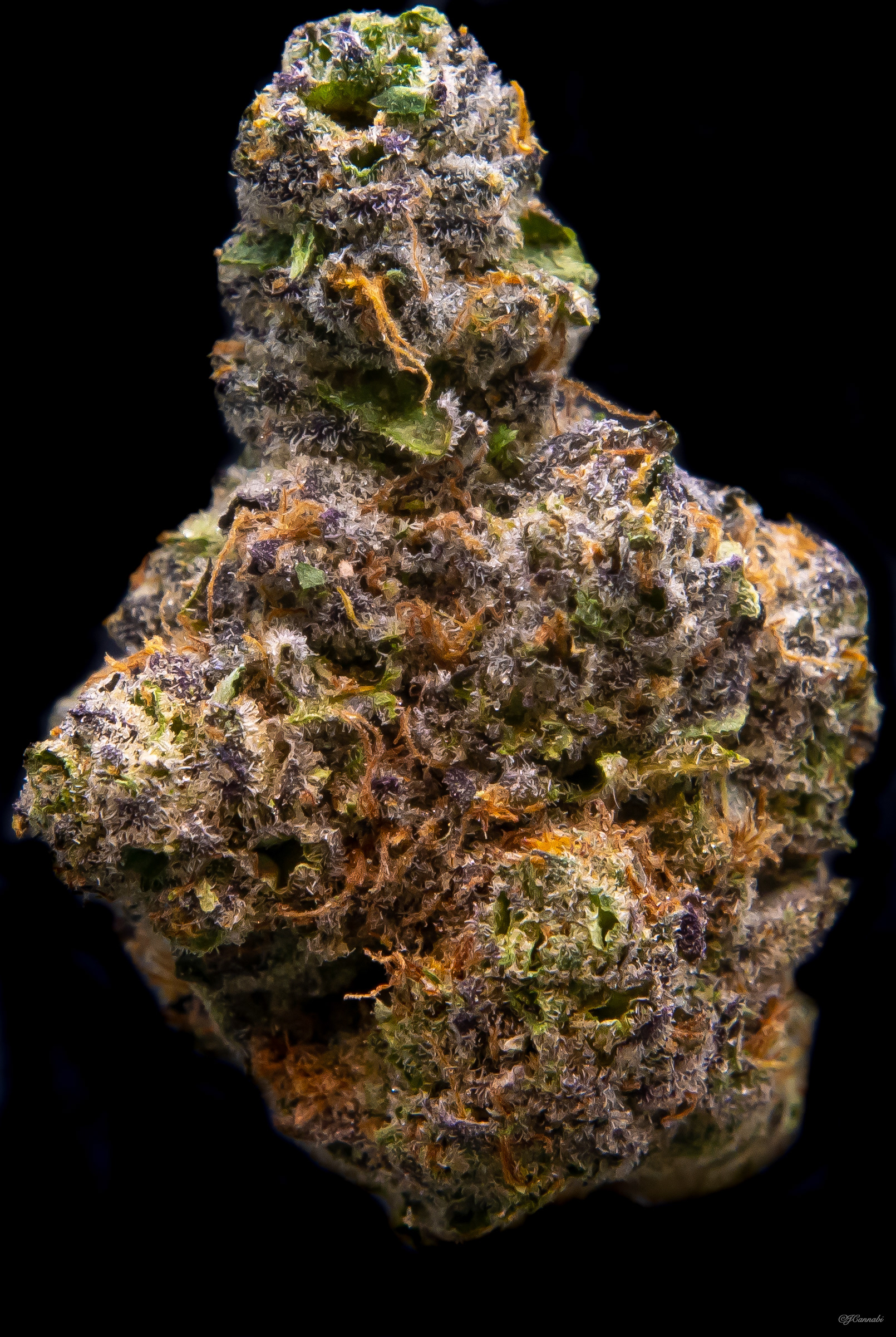 Sweet Helmet (Boulder Built)