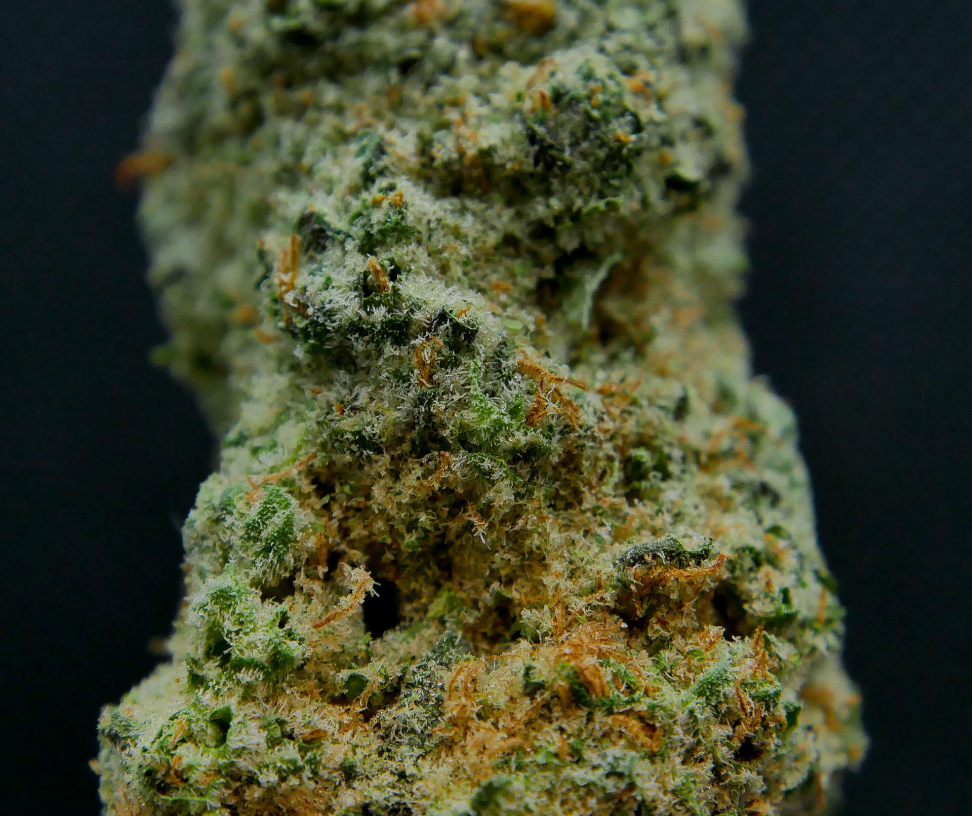 Mandarin Cookies (Hiatus)