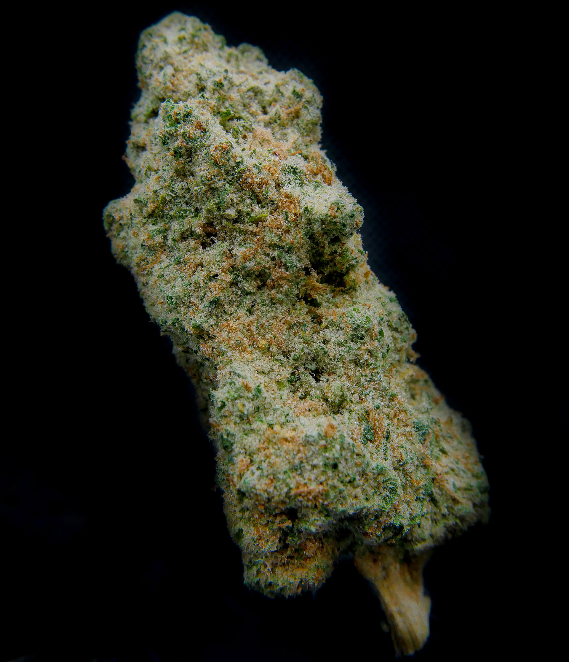 MAC & Cheese (Hiatus)