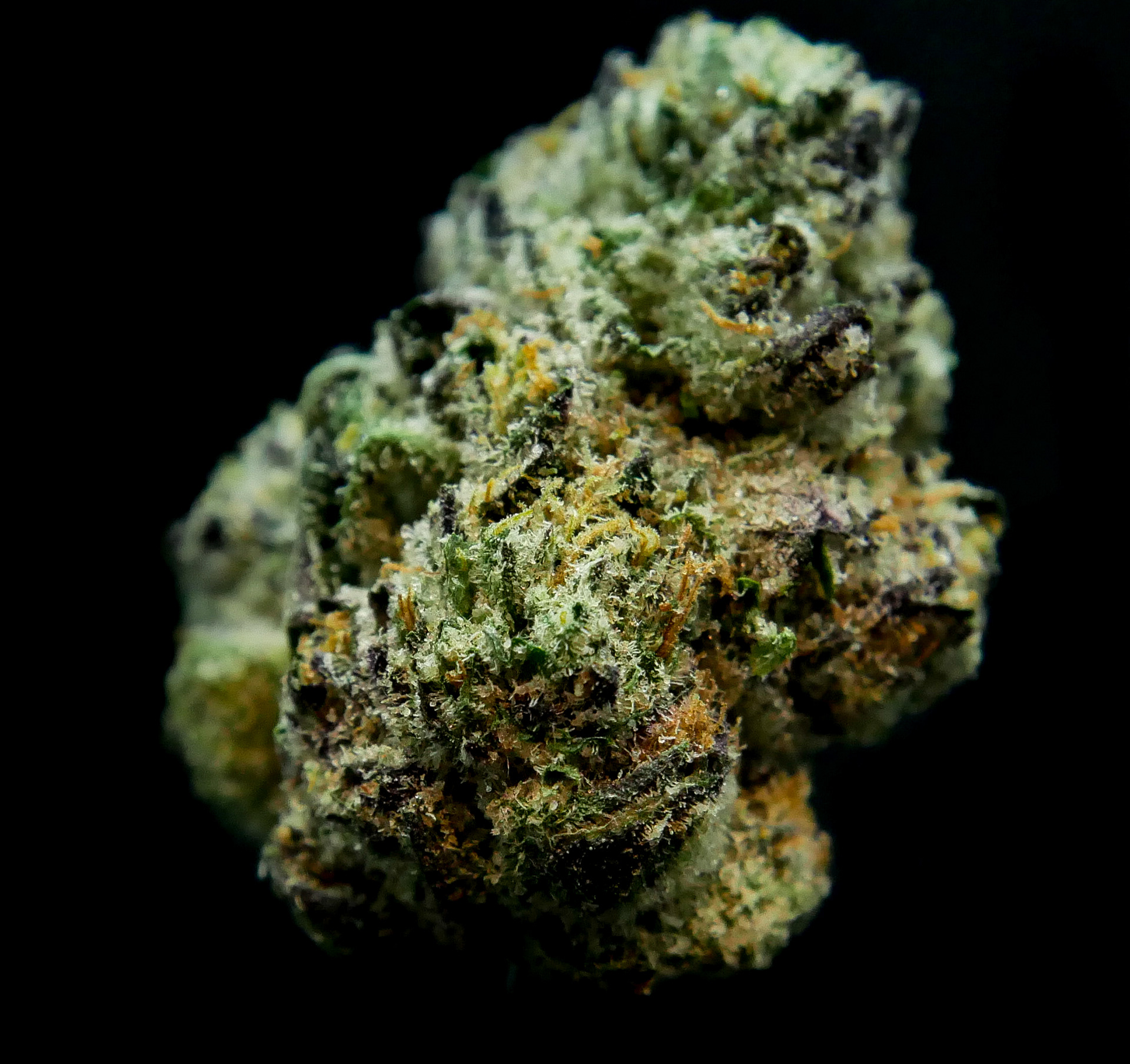 Wedding Cake (Cherry)