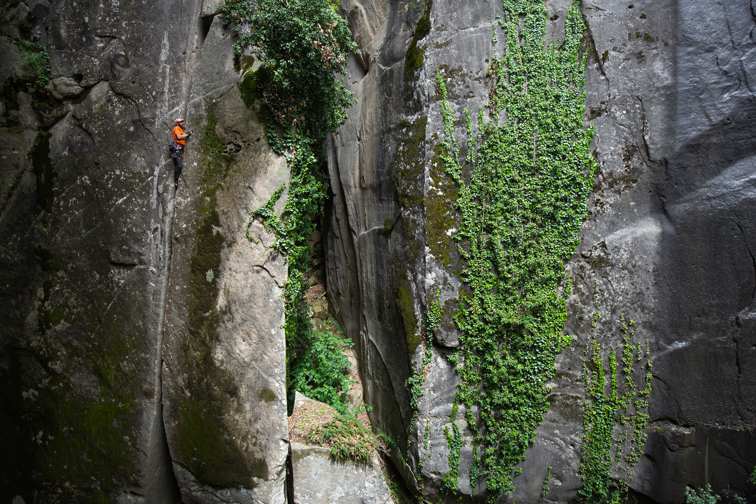 David Obročník, Fan de la Reine 6c, Annot