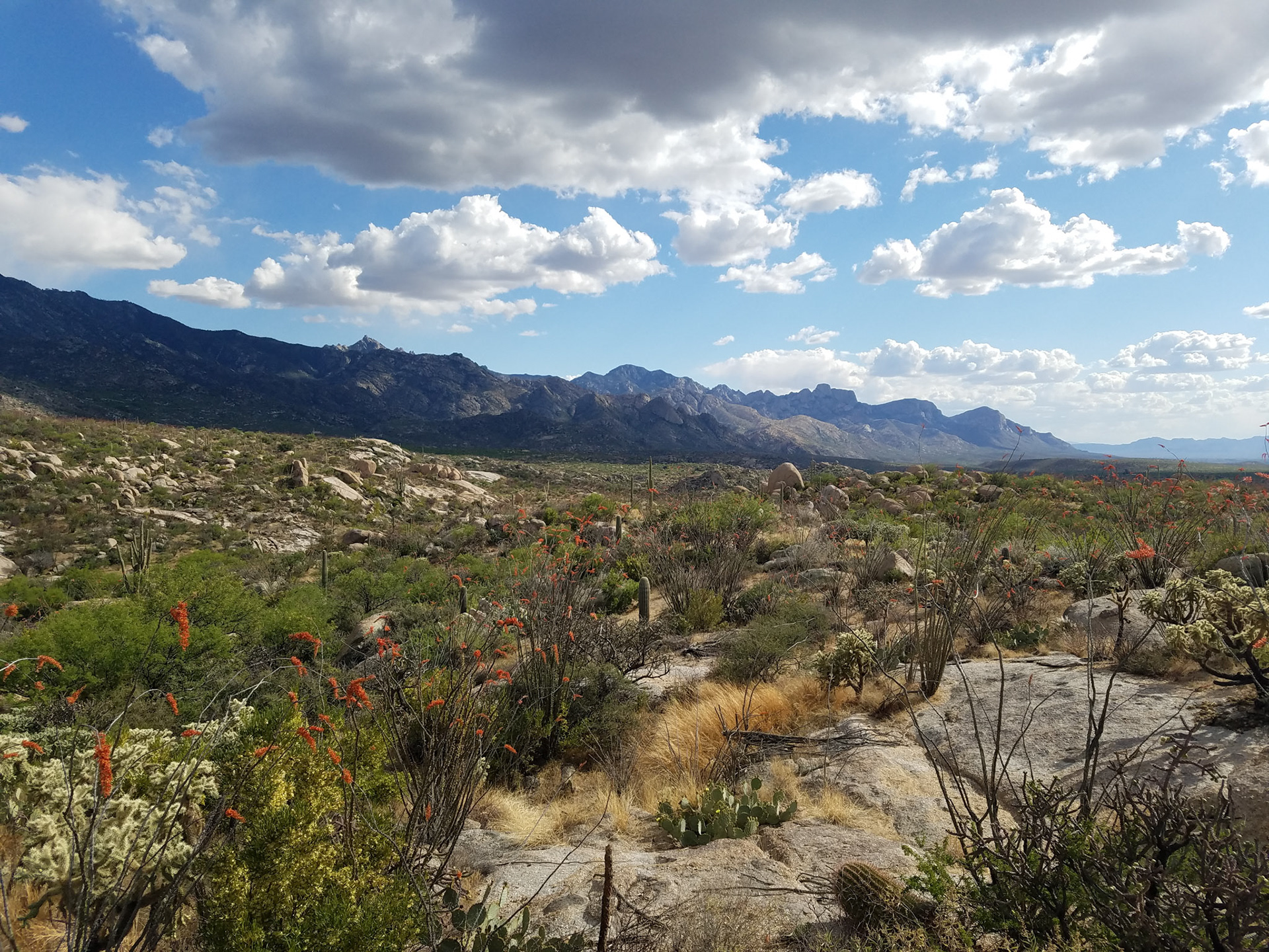 Tucson