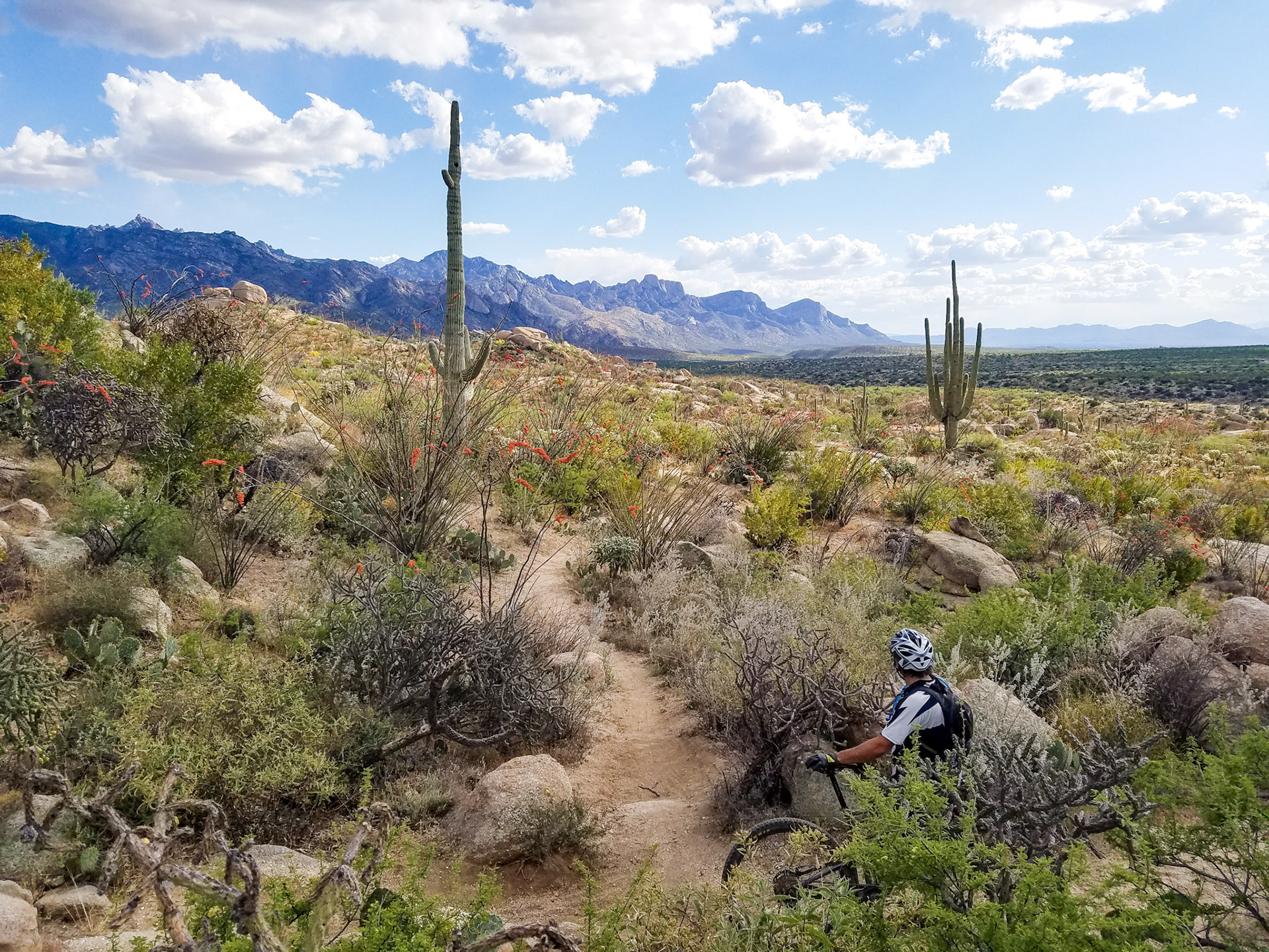 Tucson