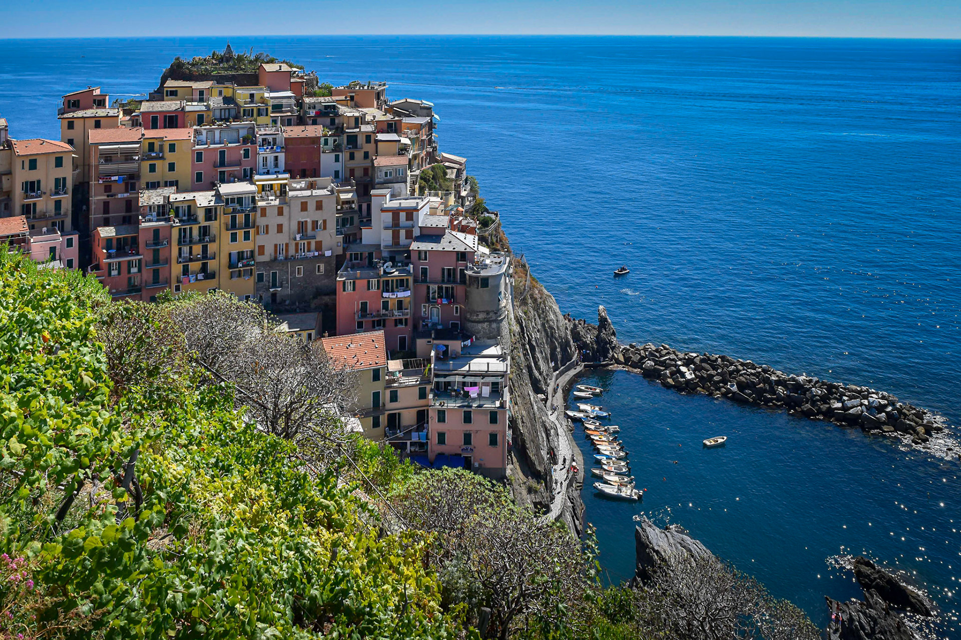 Manarola