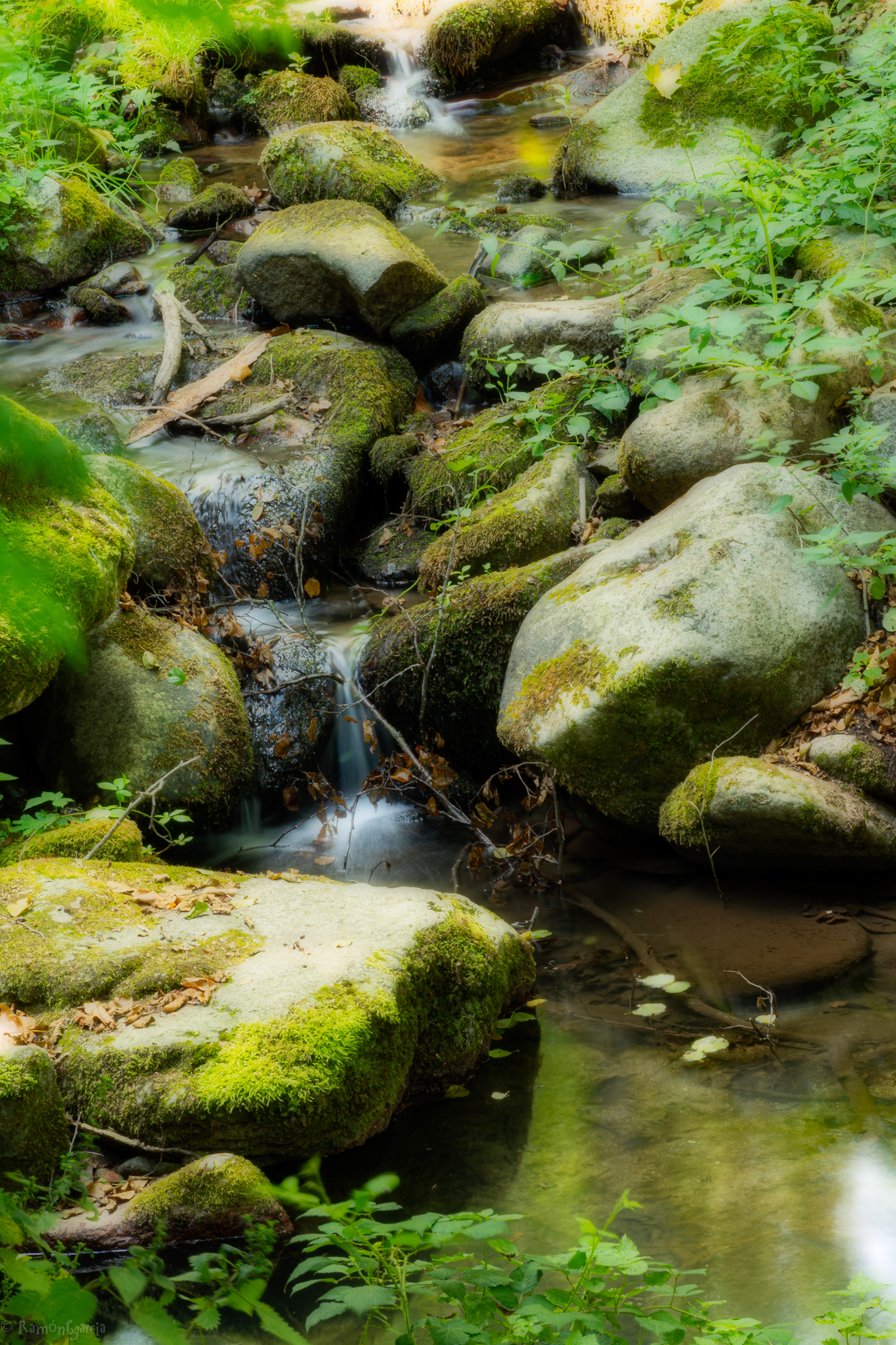 Rio pasando por Osor