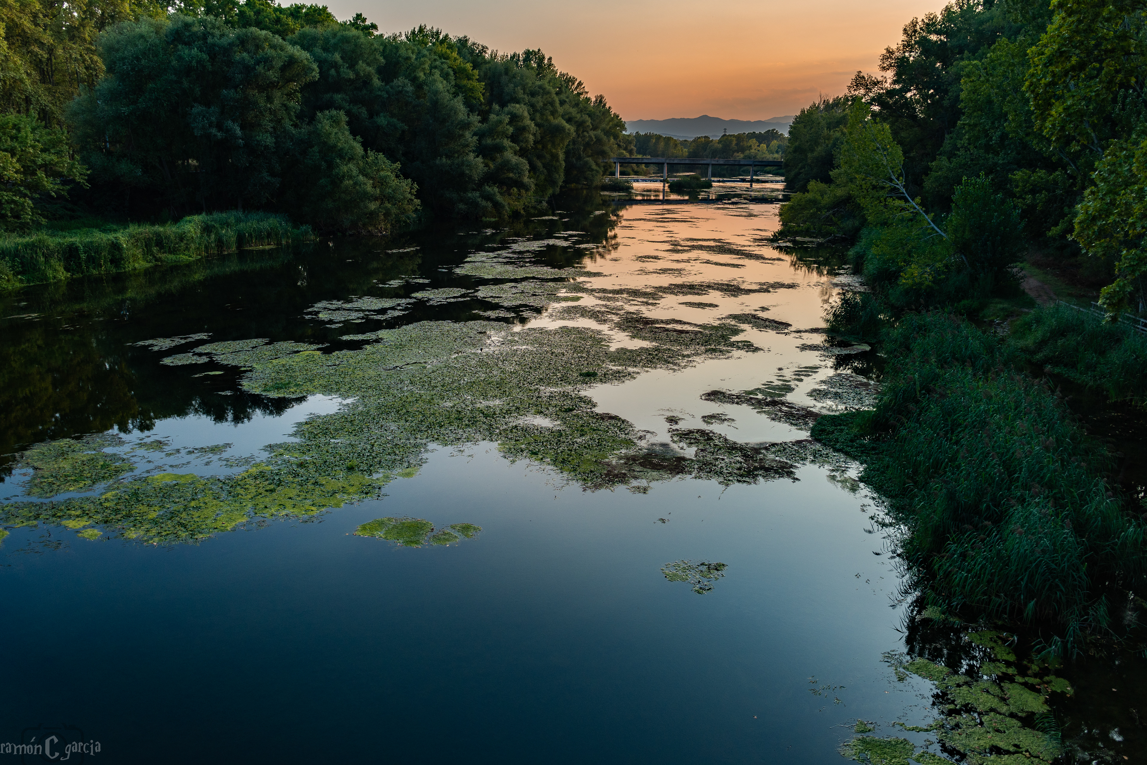 El rio Onyar pasando por Girona