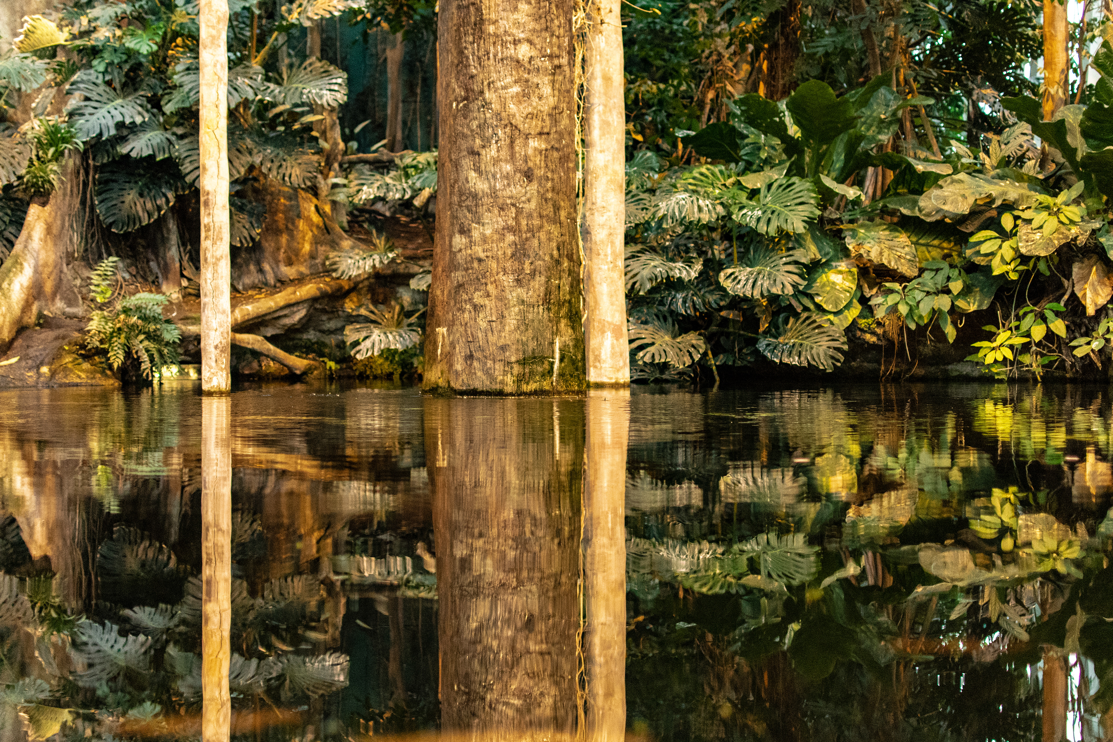 Zona inundable del Museu de la Ciència de Barcelona