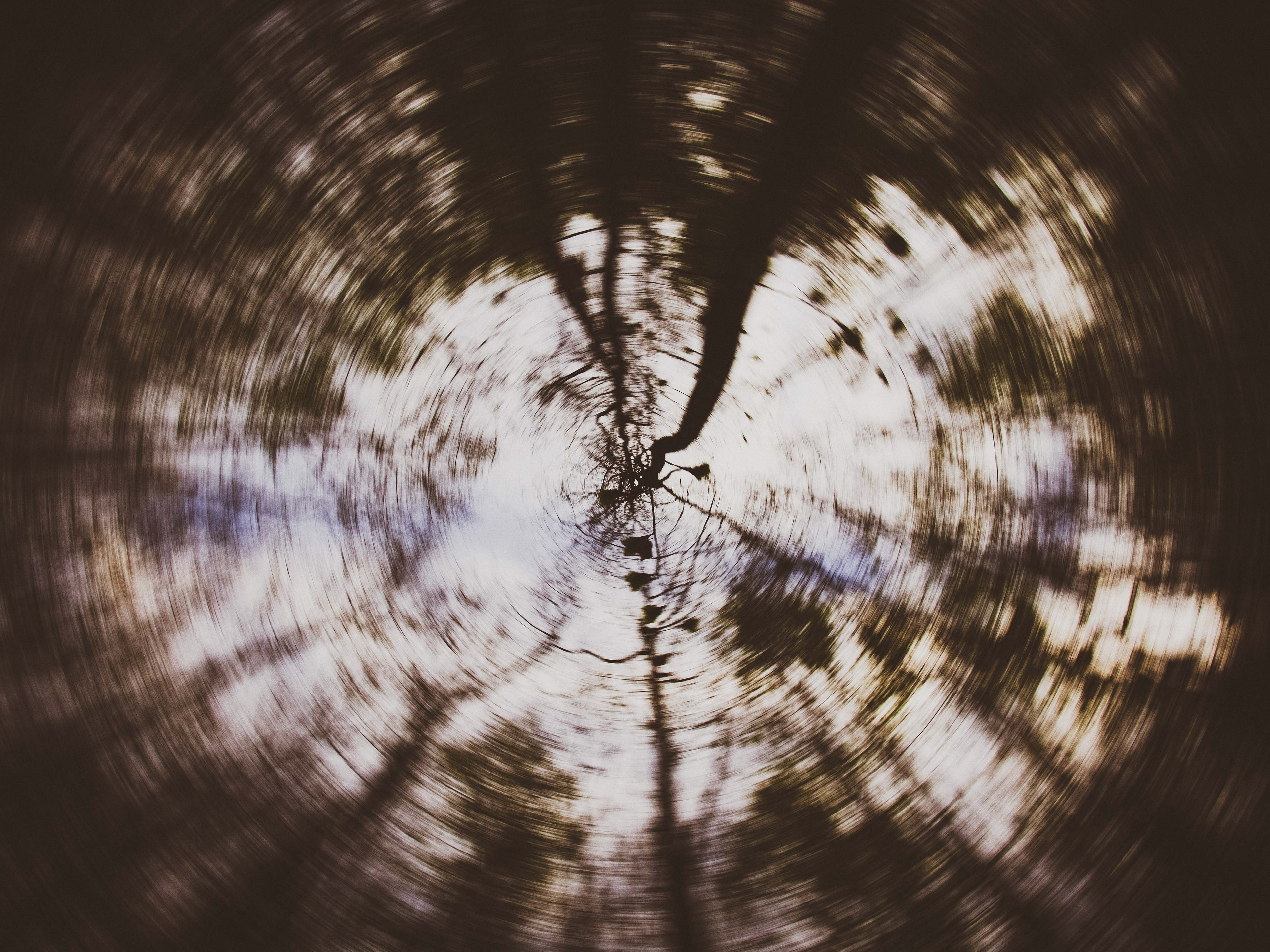 blurry visions in the forest