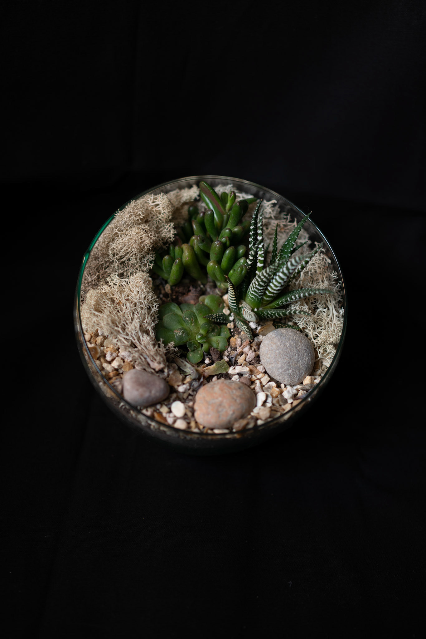 35mm 1/40s f/2 ISO 50