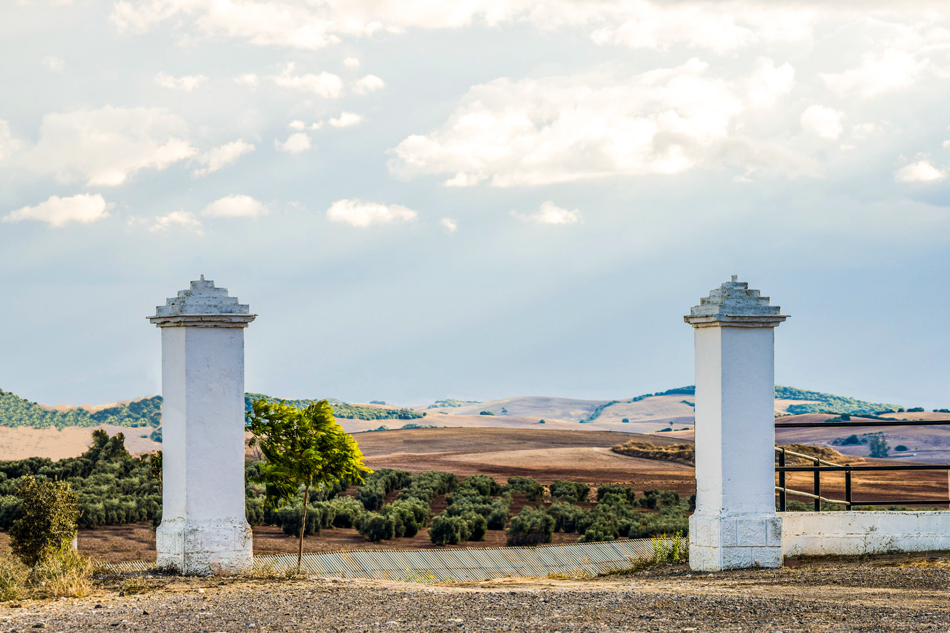 from "The Andalusian Cortijo"