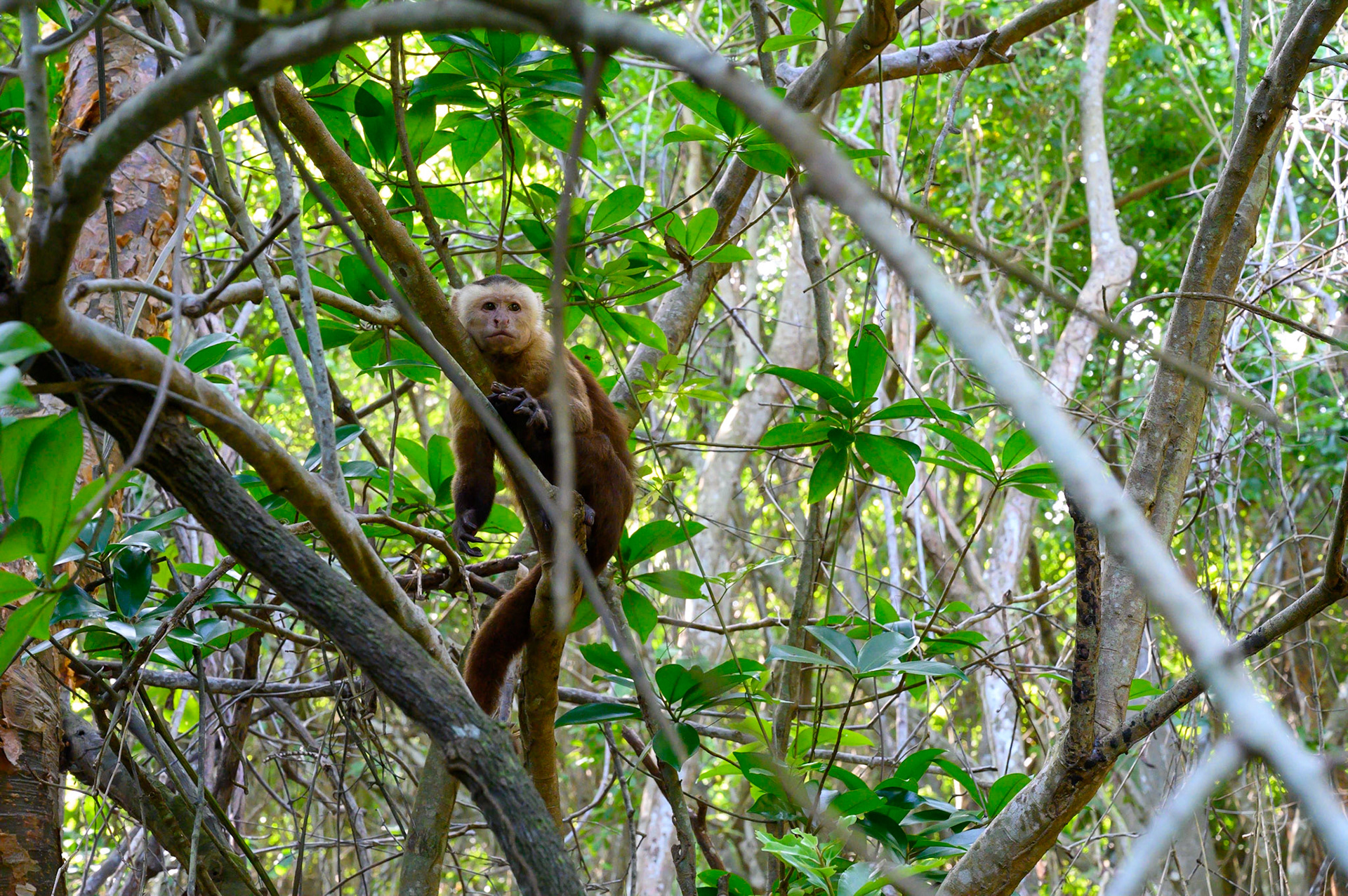 Parc National de Tayronna