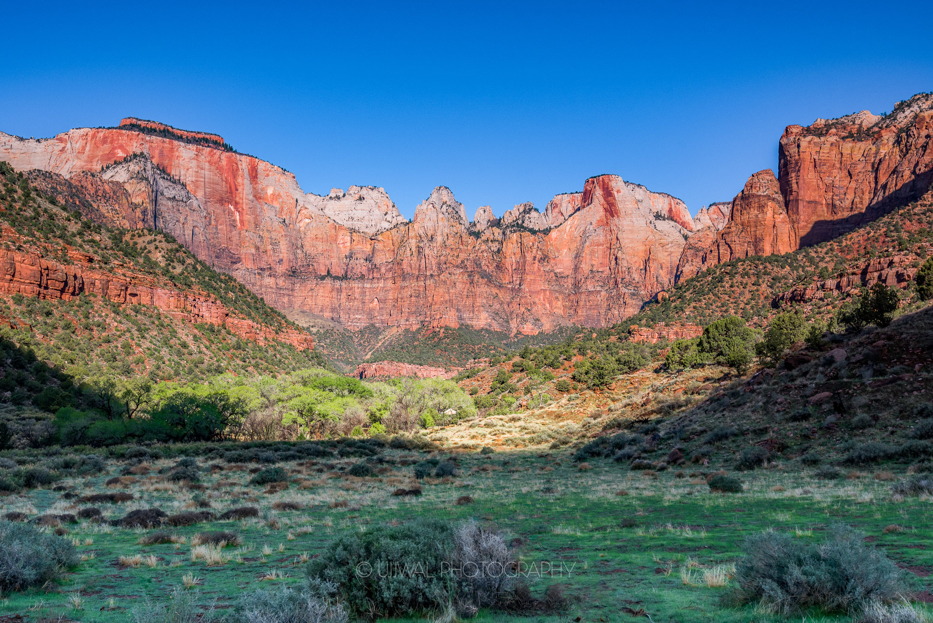 View of Canyons during early morning Zion National Park USA