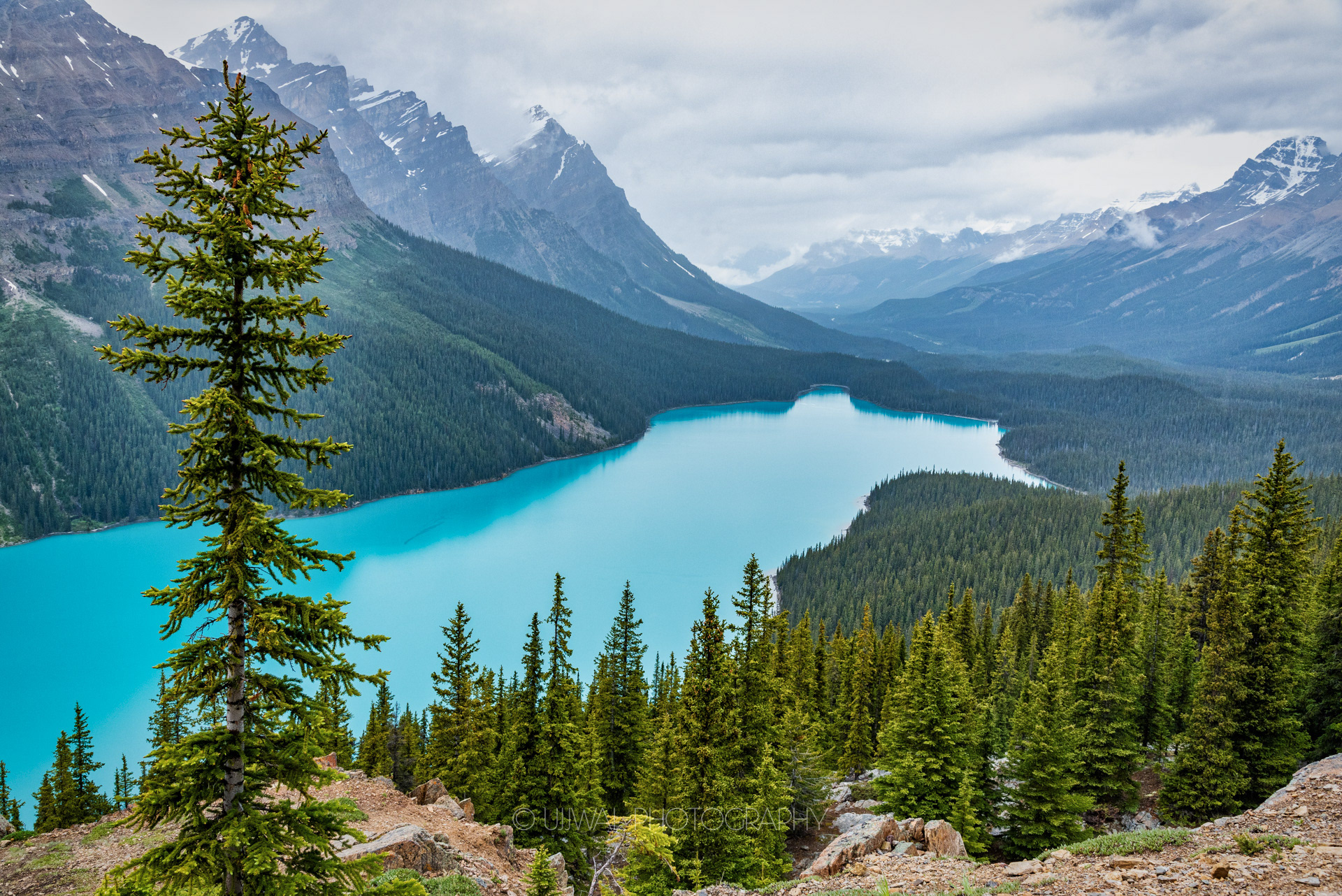 Peyto Lake, Alberta, Canada
