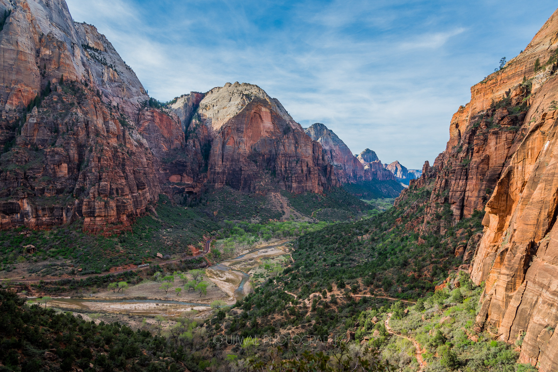 View of Canyons from the top of Angels Landing at Zion National Park USA
