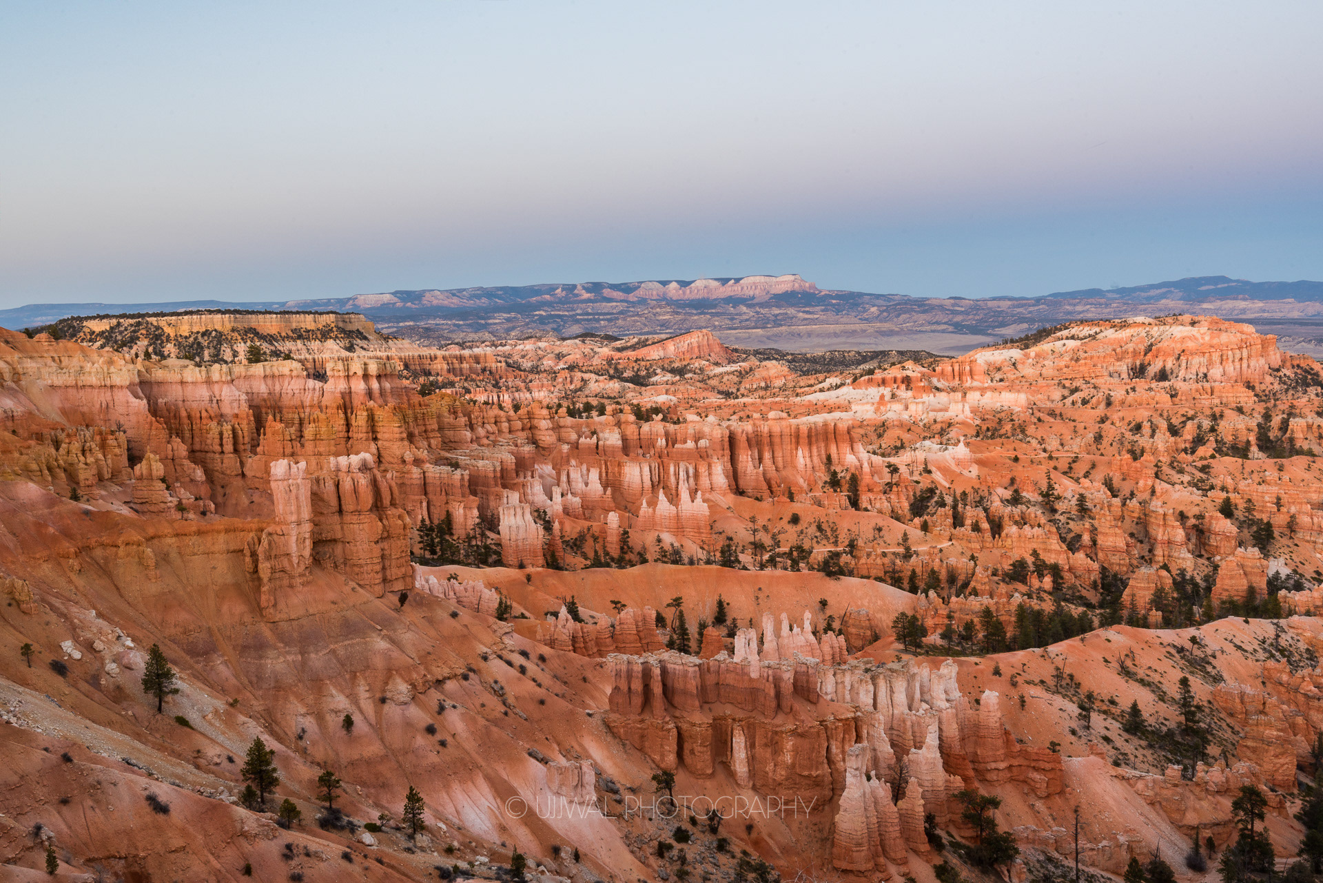 Crimson colored Hoodoos, Bryce Canyon National Park, Utah, USA