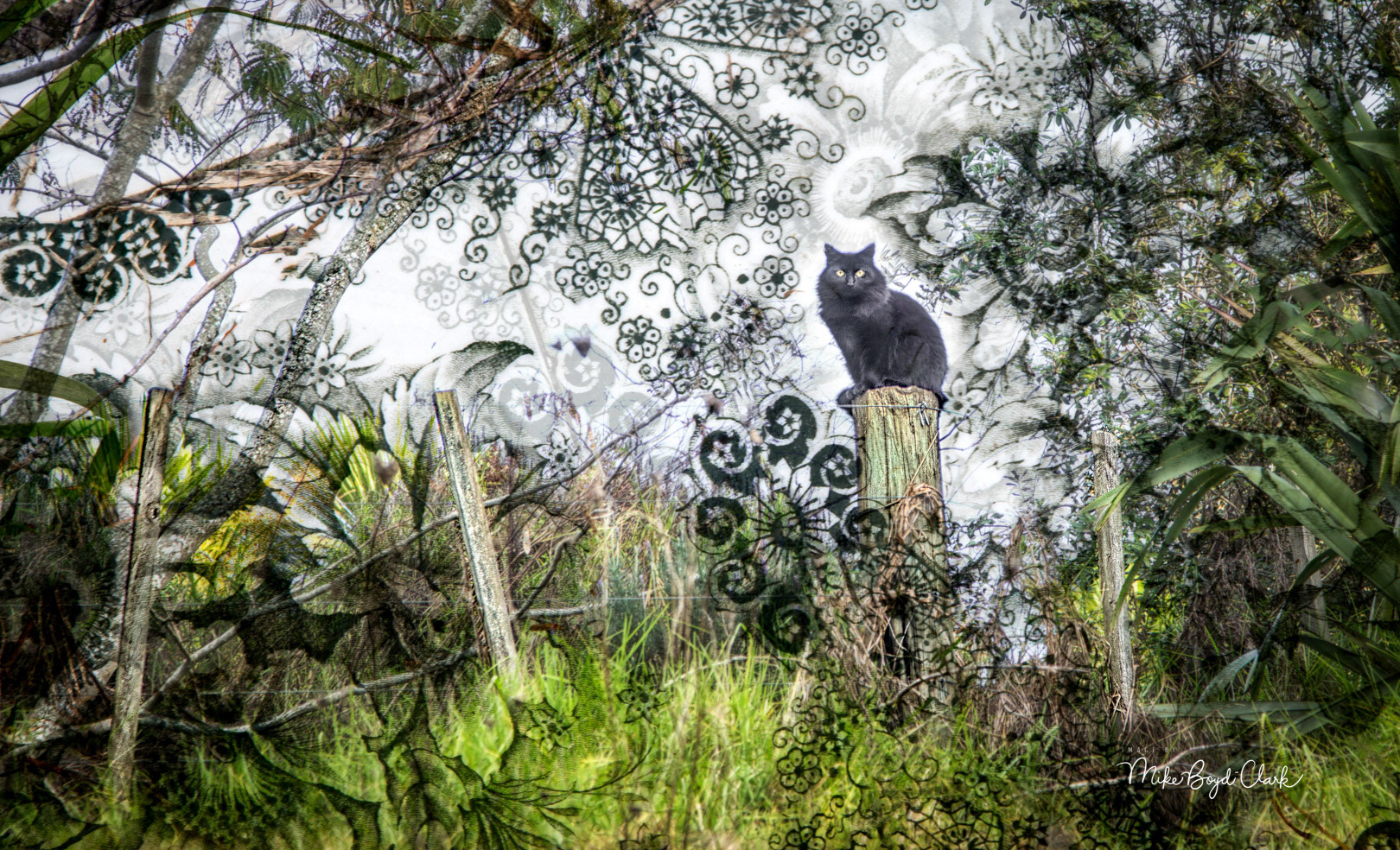 In the Corner of a Secrete Garden