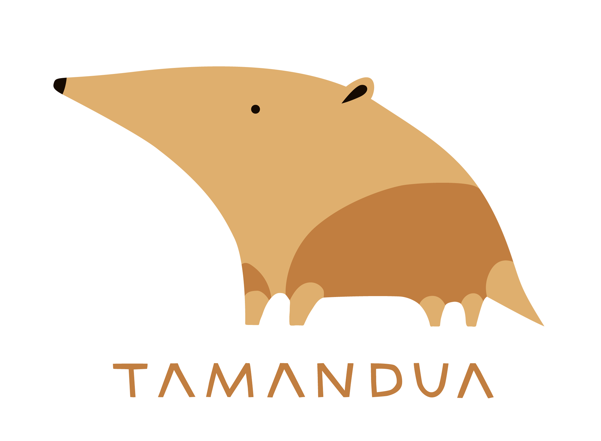 Tamandua Estudio