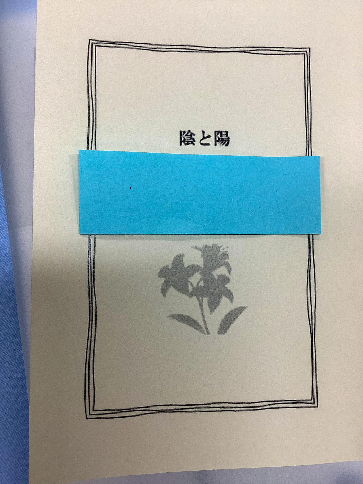 陰と陽