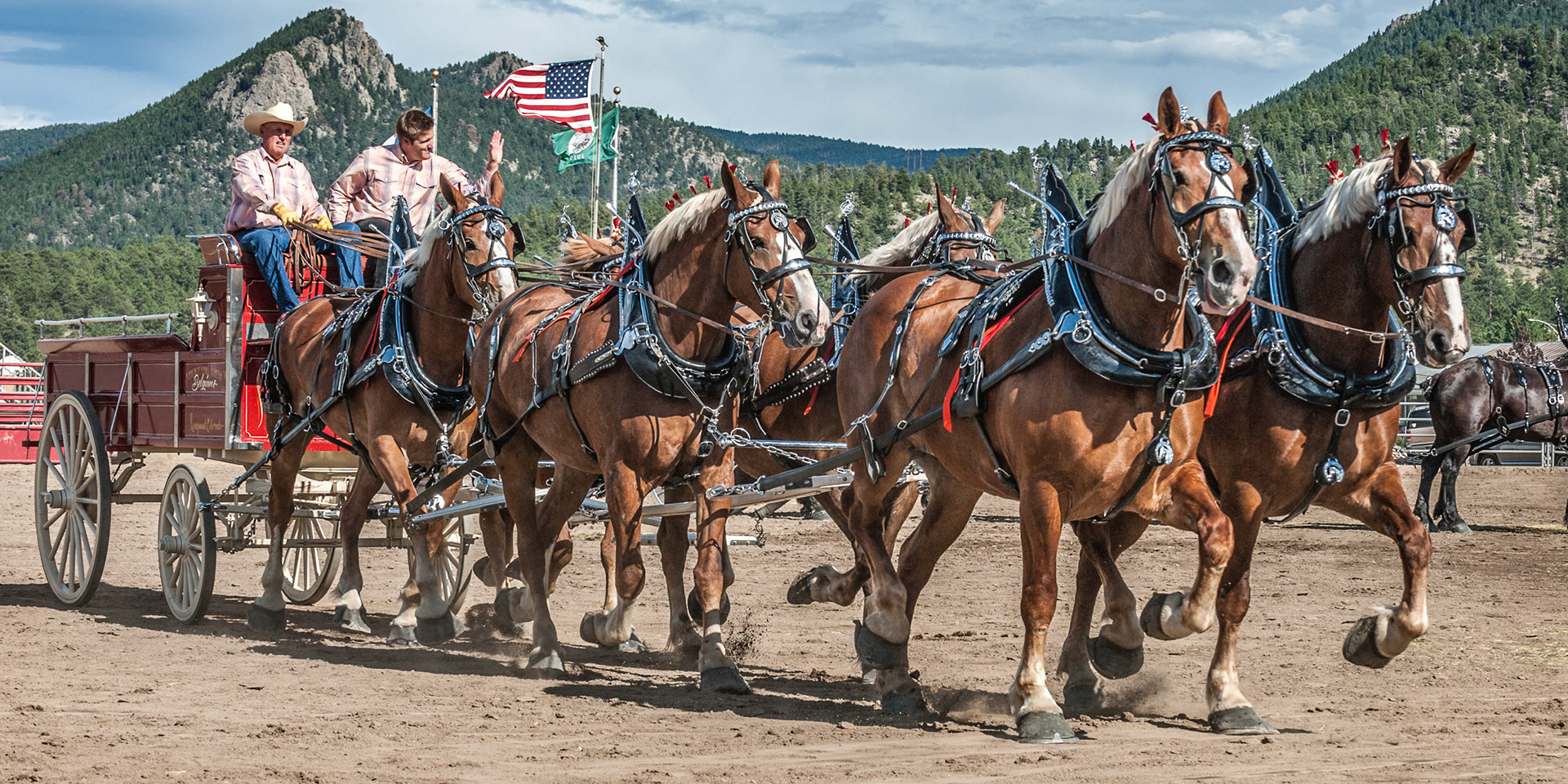 Draft Horses & Wagon
