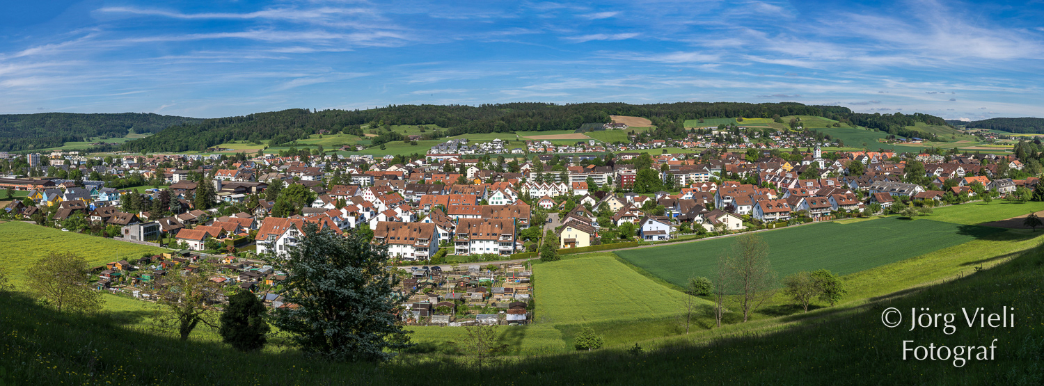 DSC03821-Pano