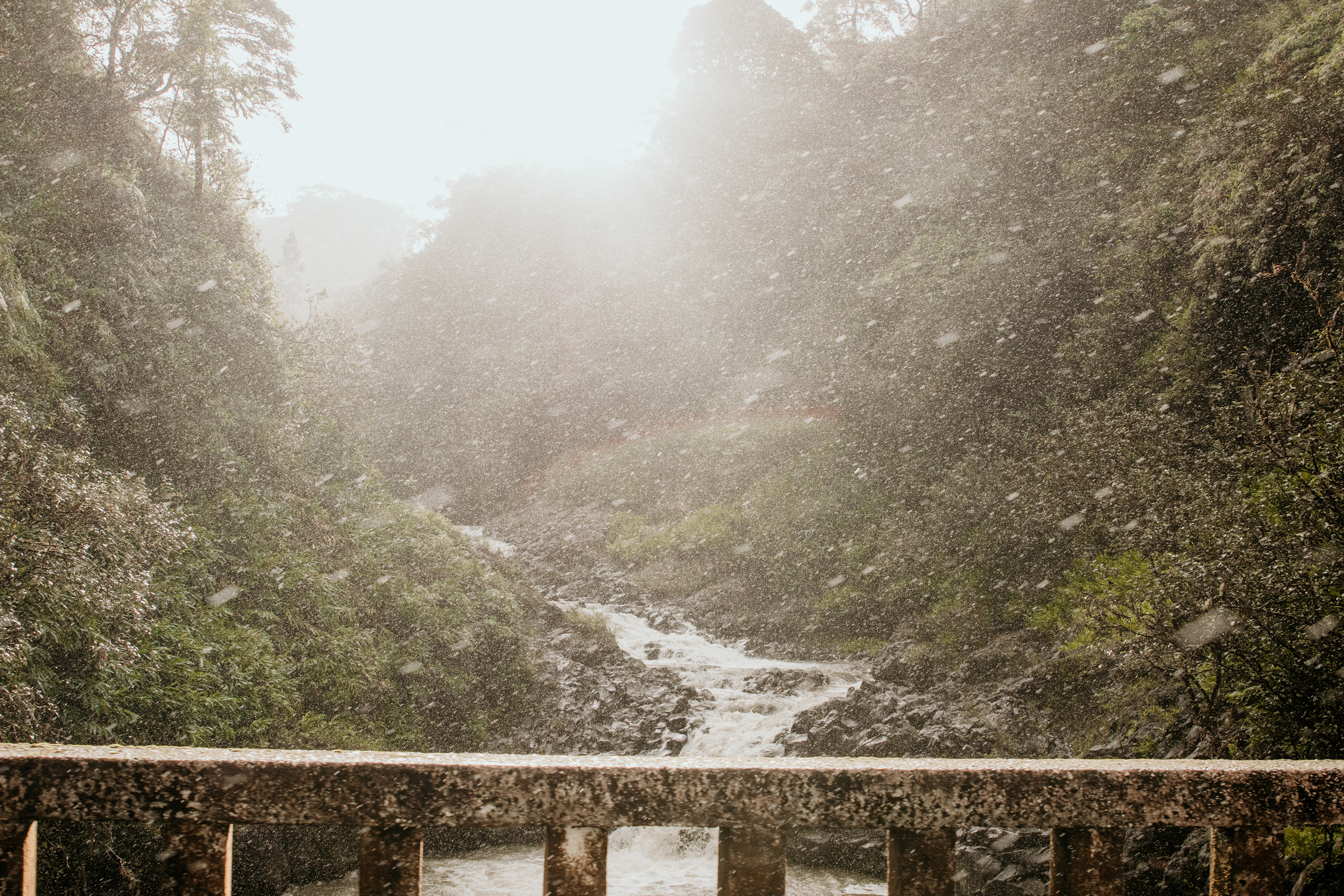sunshine rain
