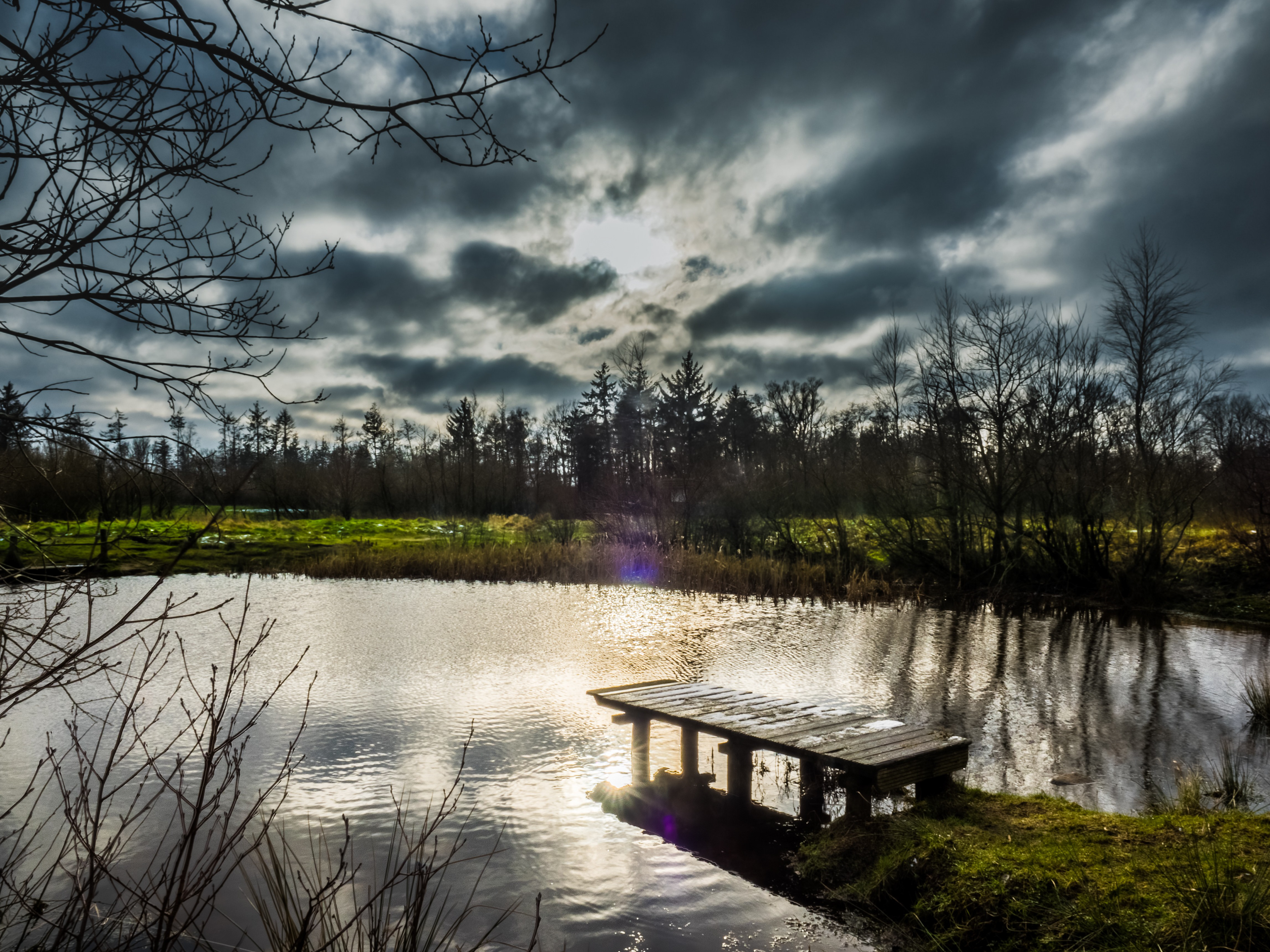 A Pond