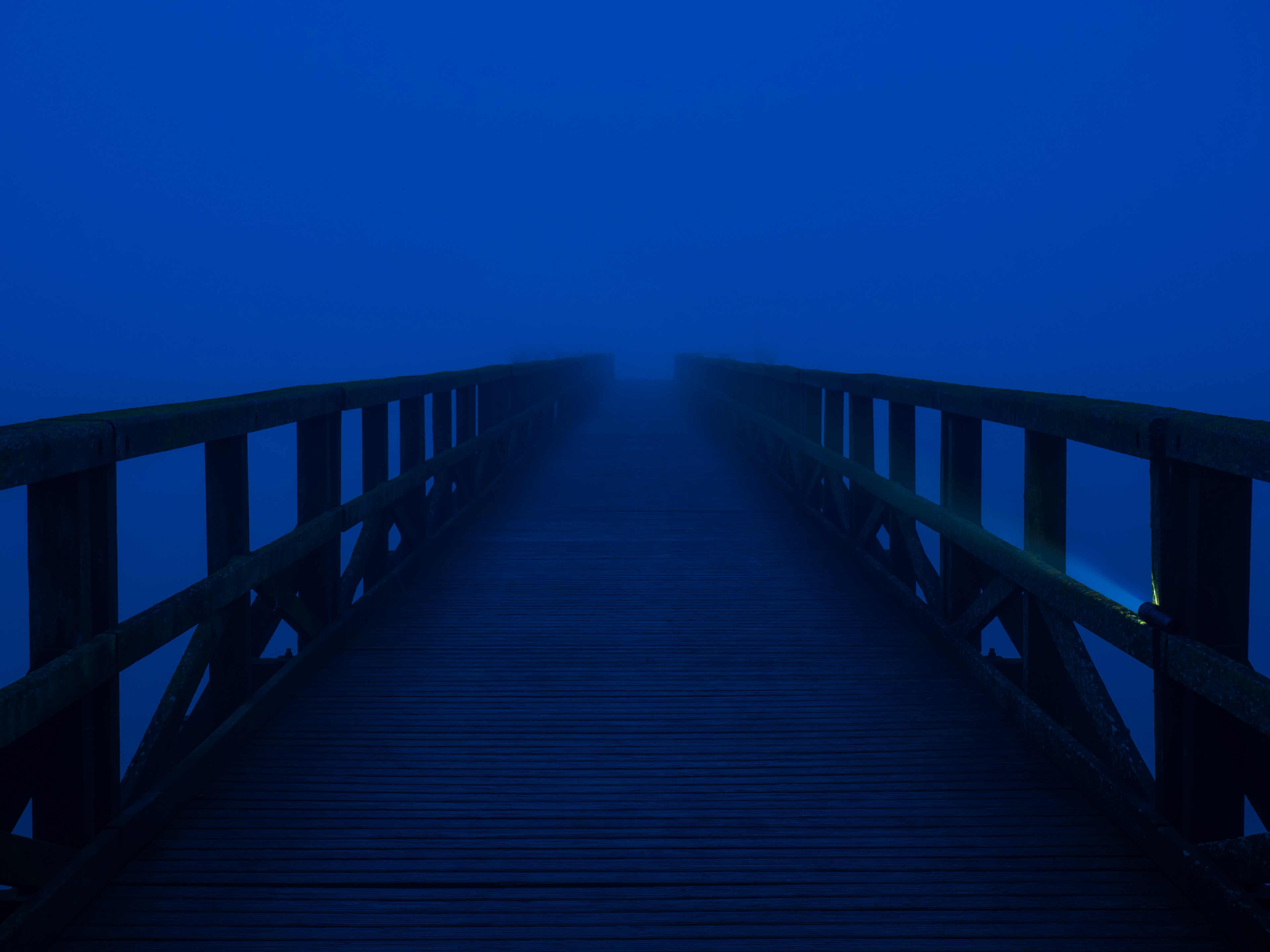 Creepy View into the Fog