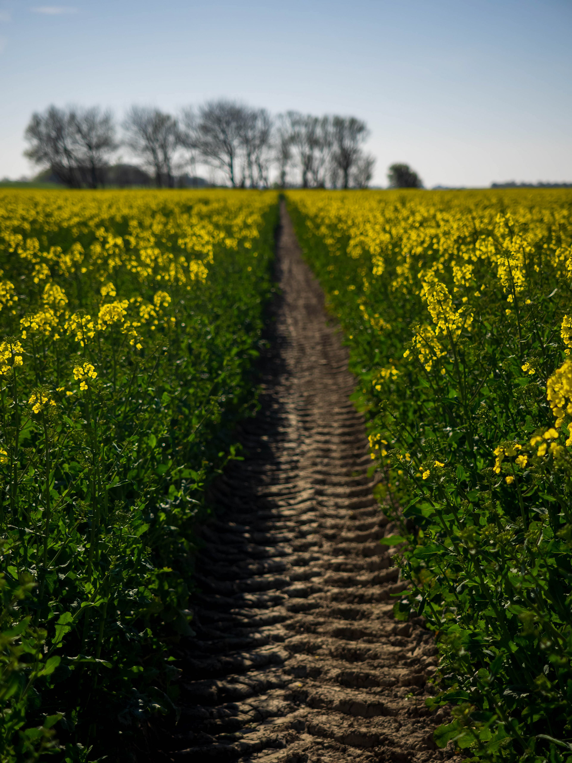 Tractor Track