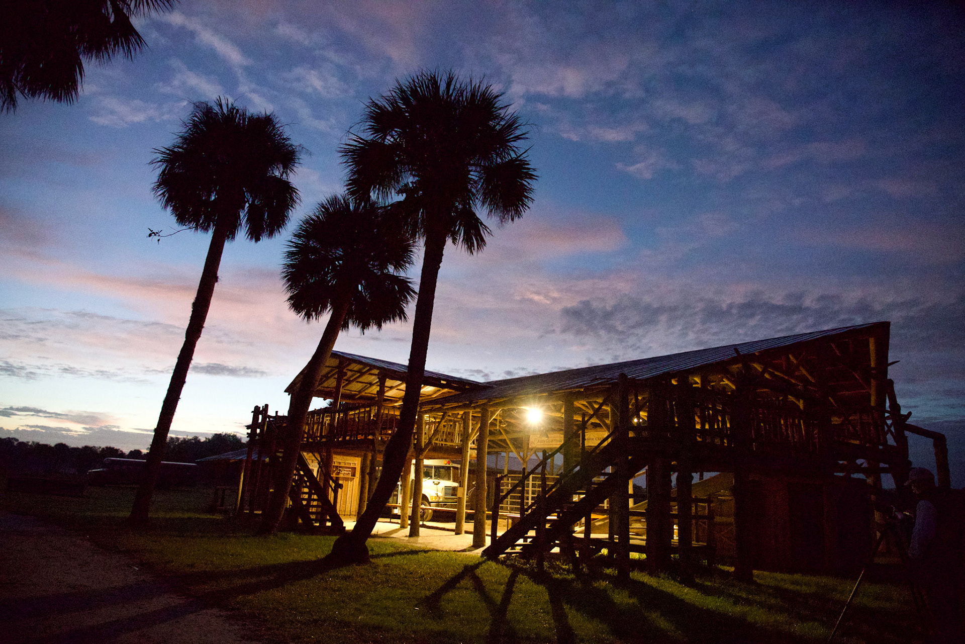 Jodi Luby Now Photography Adams Ranch