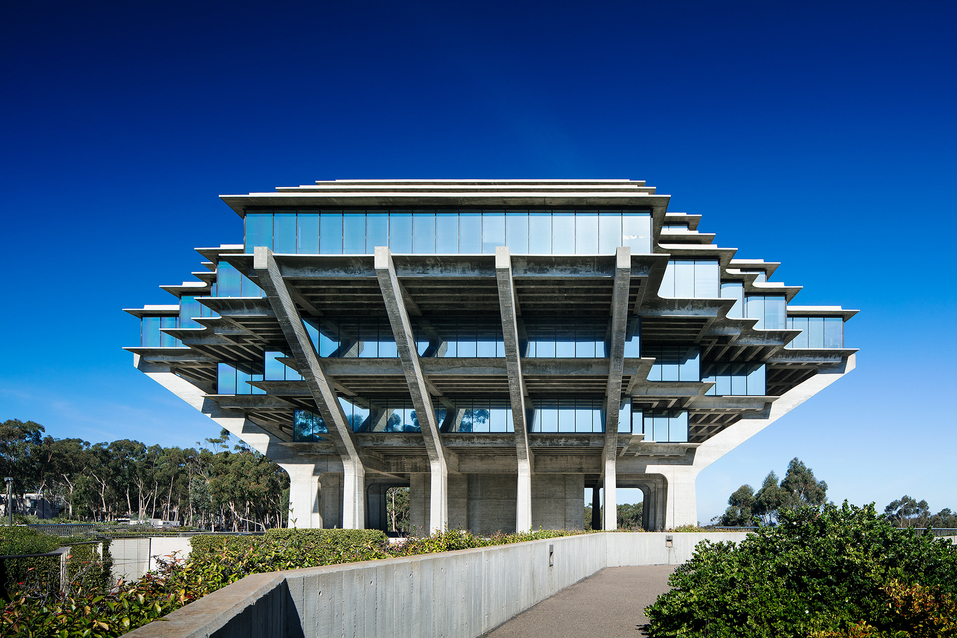 Pete Sieger's Portfolio - UCSD Geisel Library