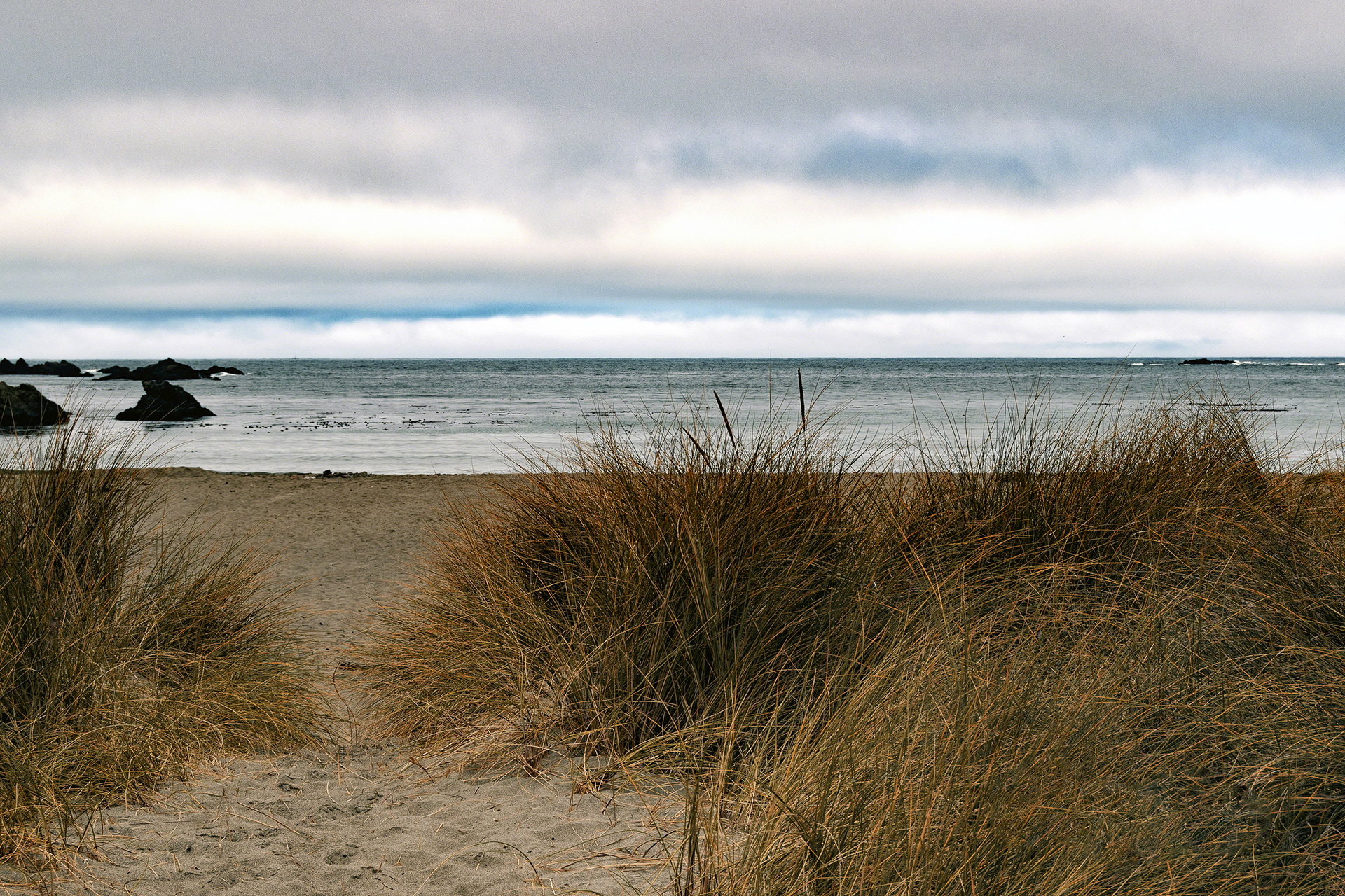 Grassy Beach