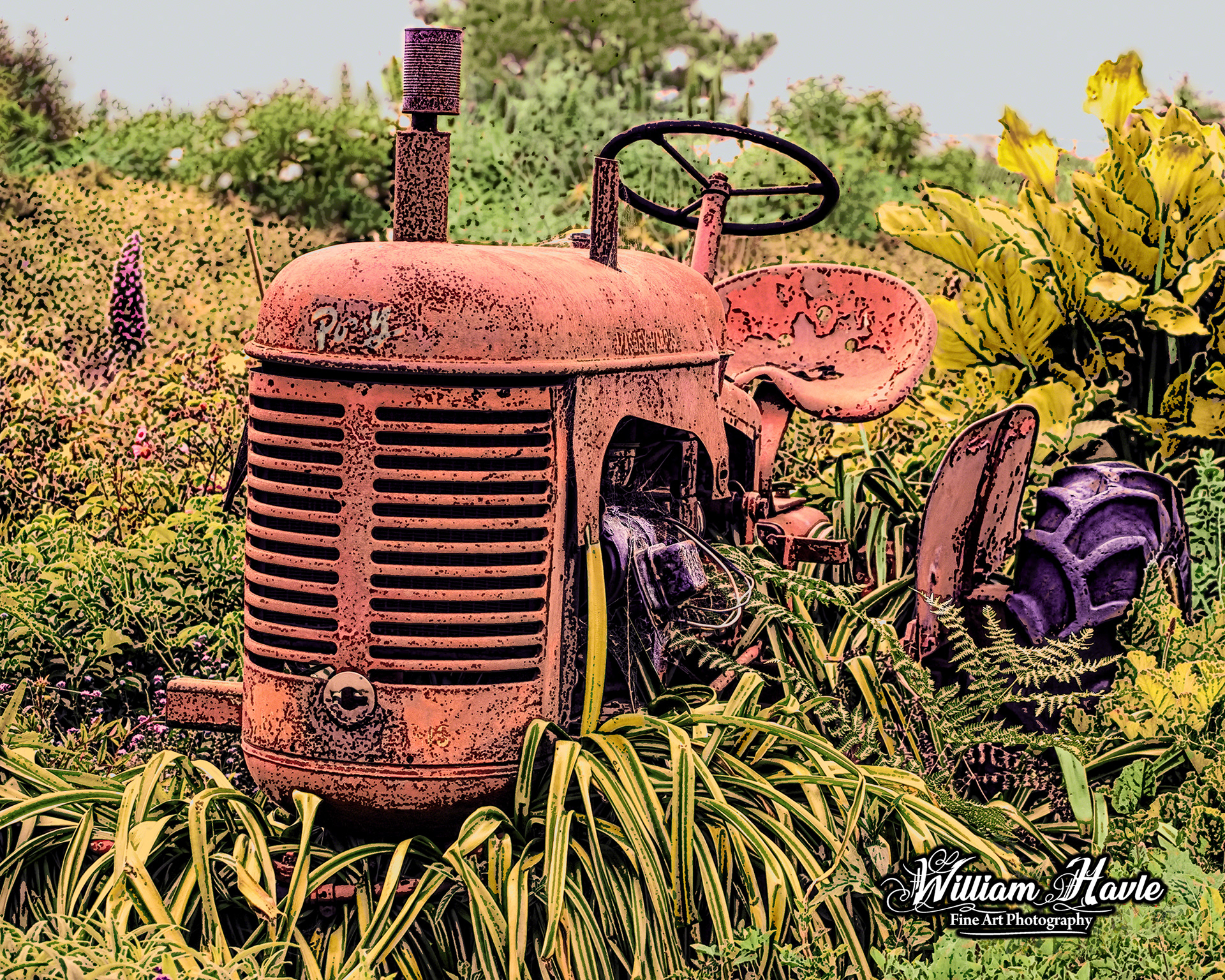 Massey Harris Pony Garden