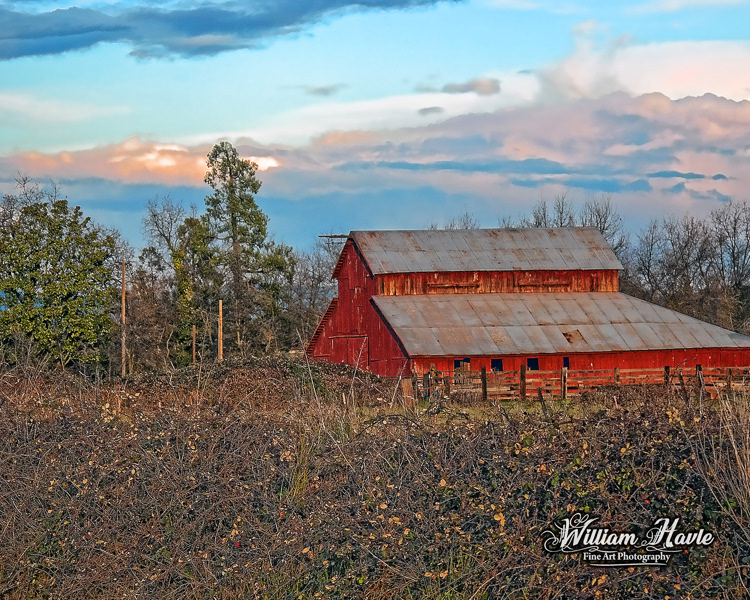 Barn In The Barry Bushes