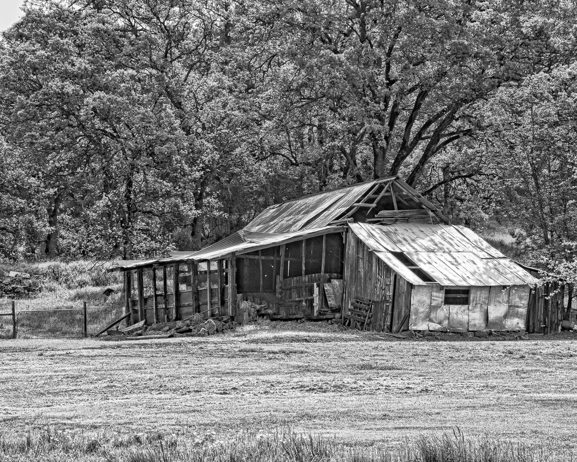 Auburn Barn
