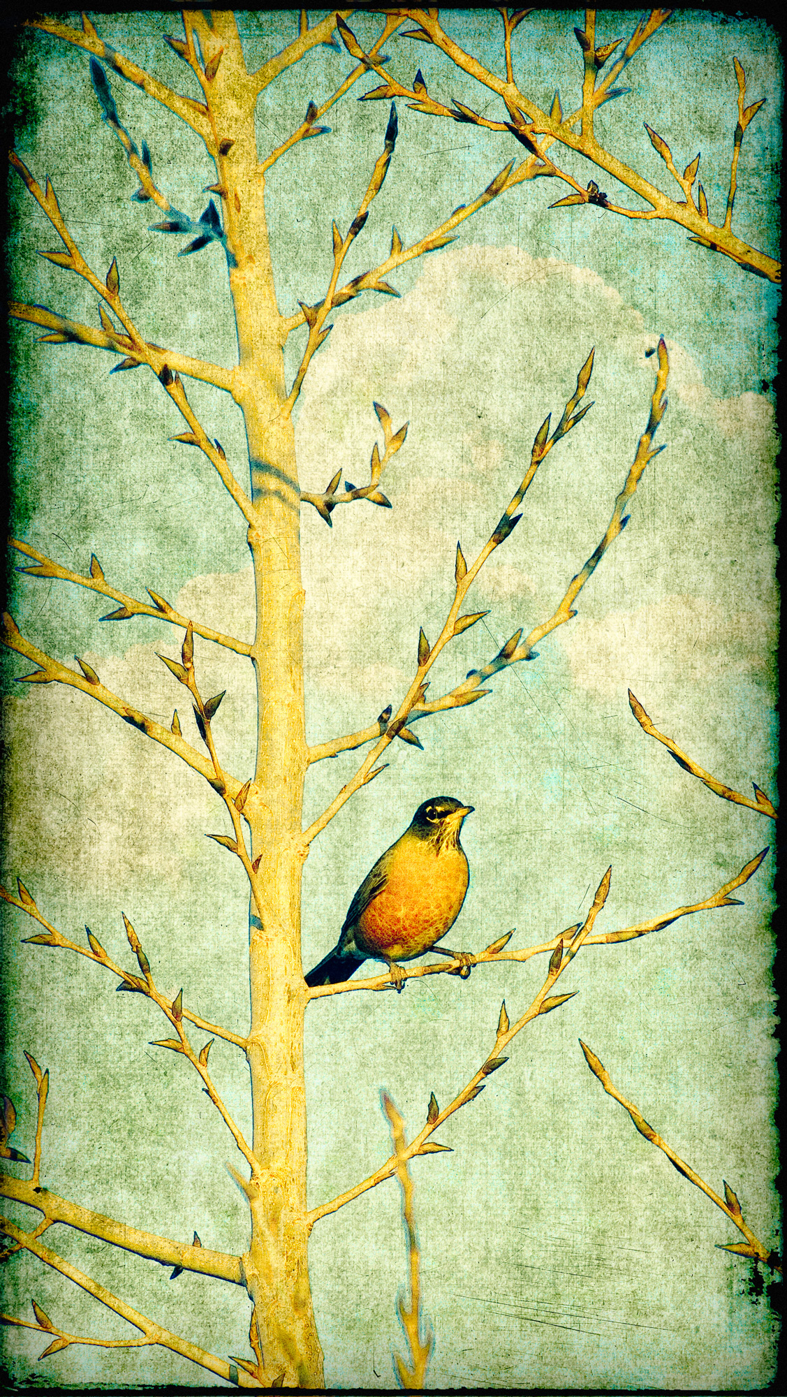 Ode to Spring