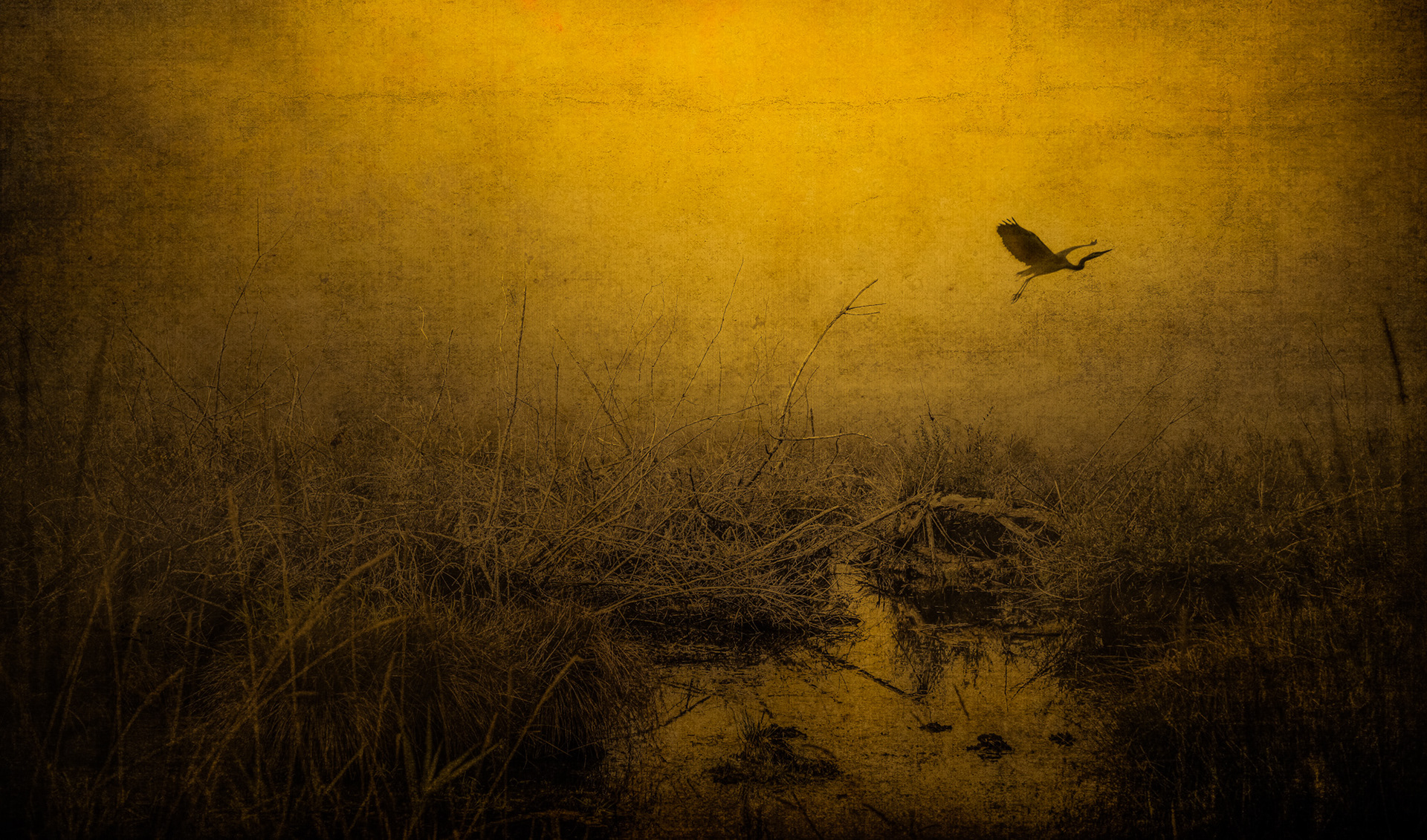 Silent Departure