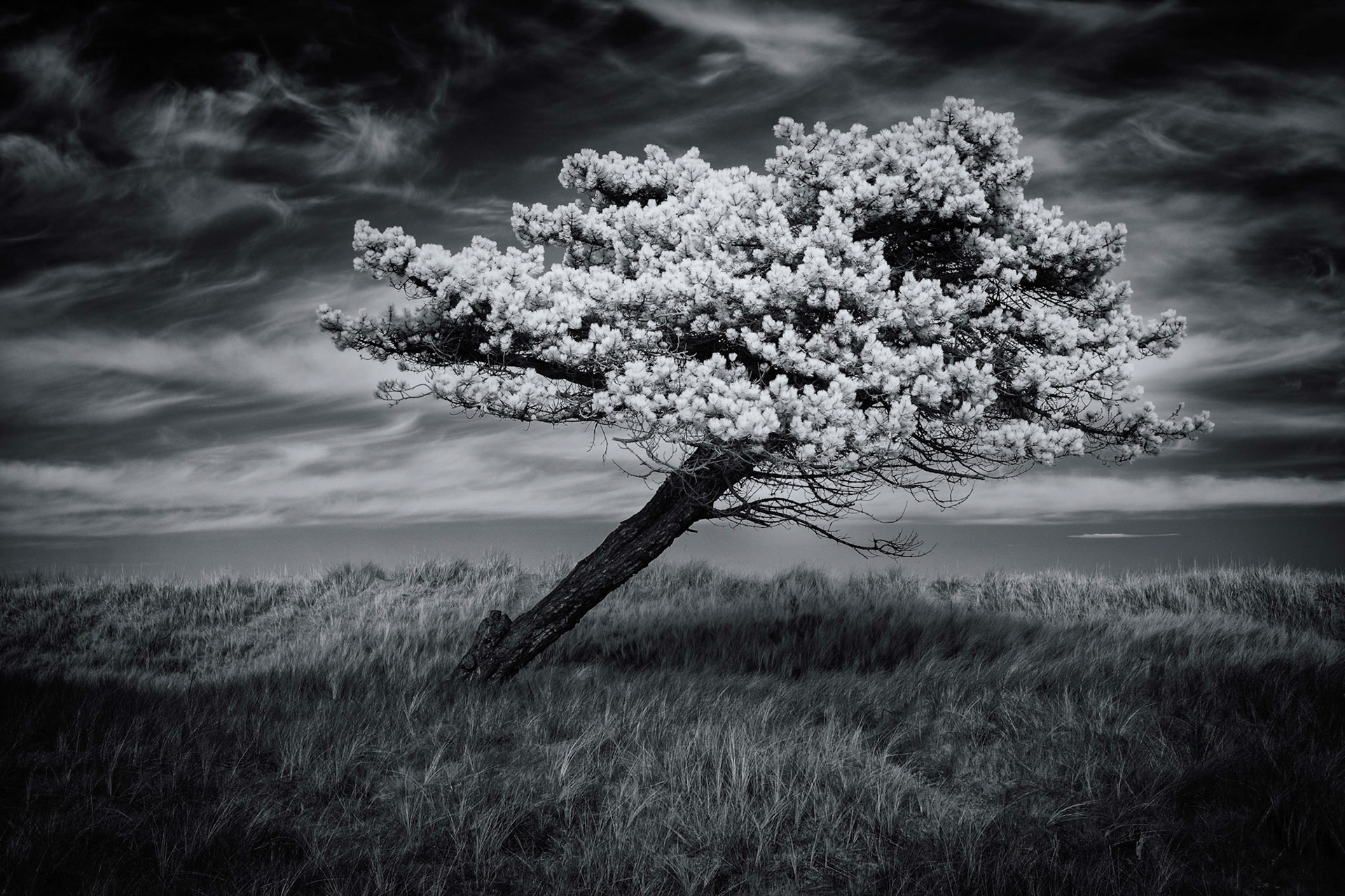Wind resistance